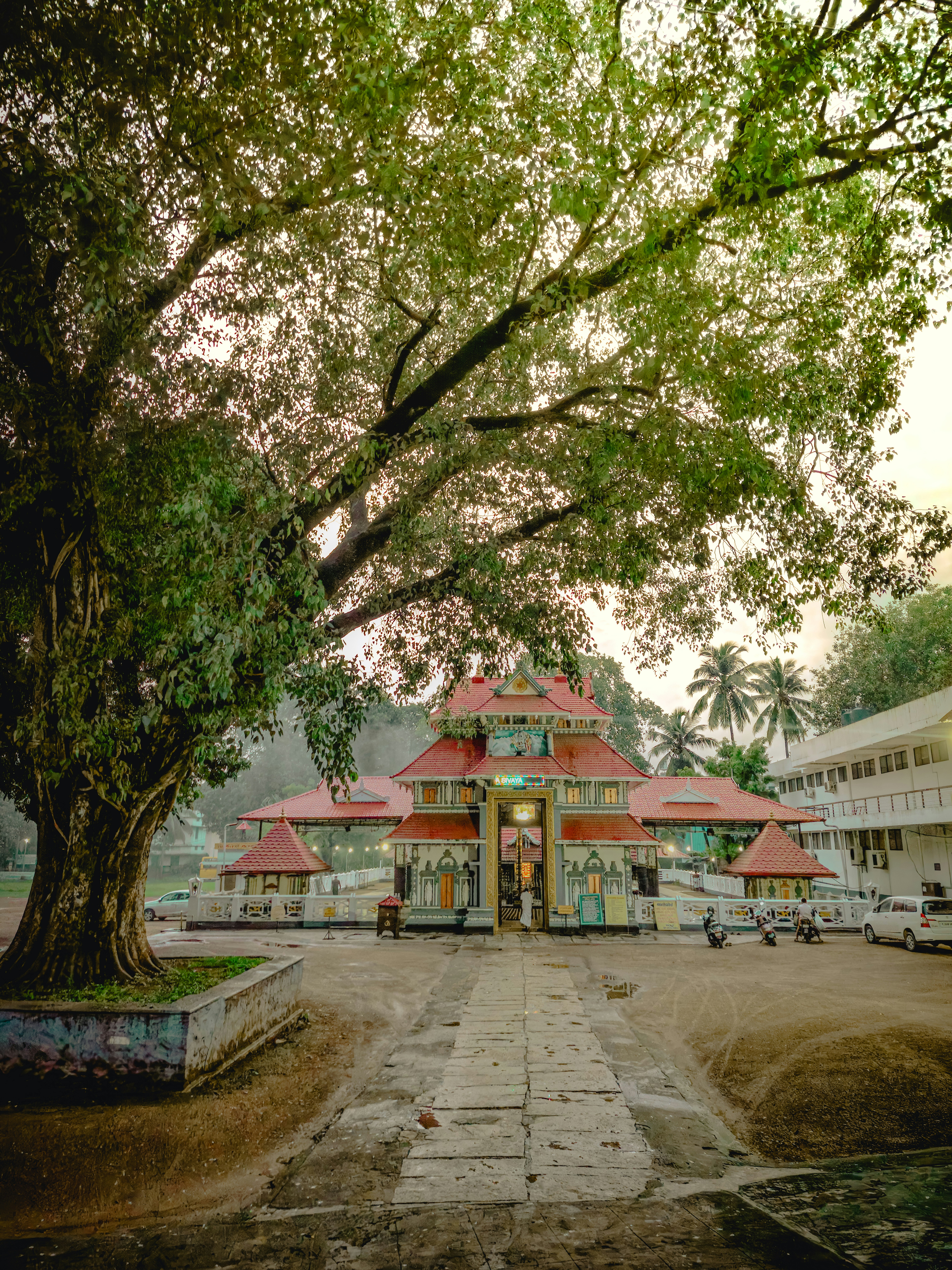 Photo by arununnikrishnan