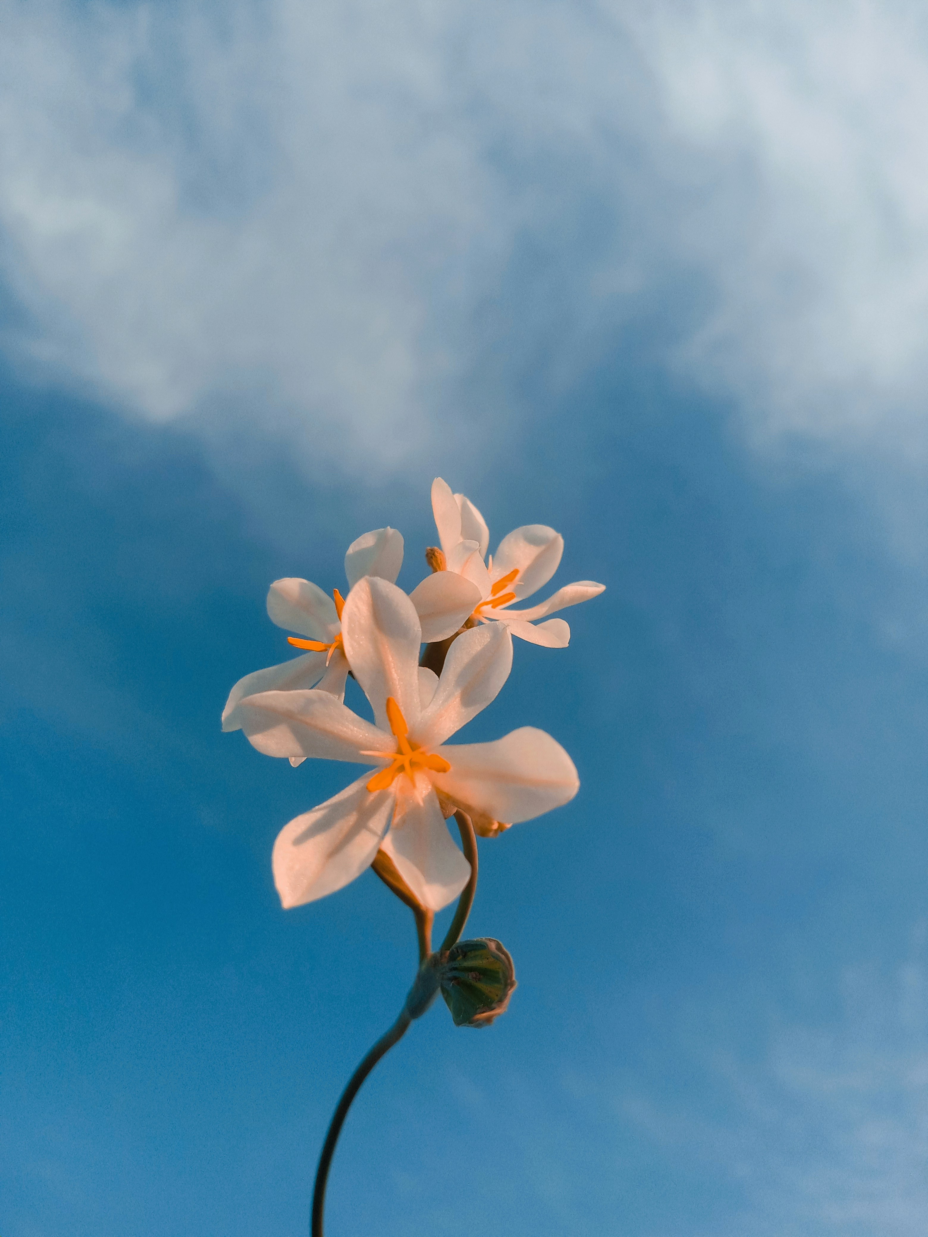 Photo by lt_wallpapers