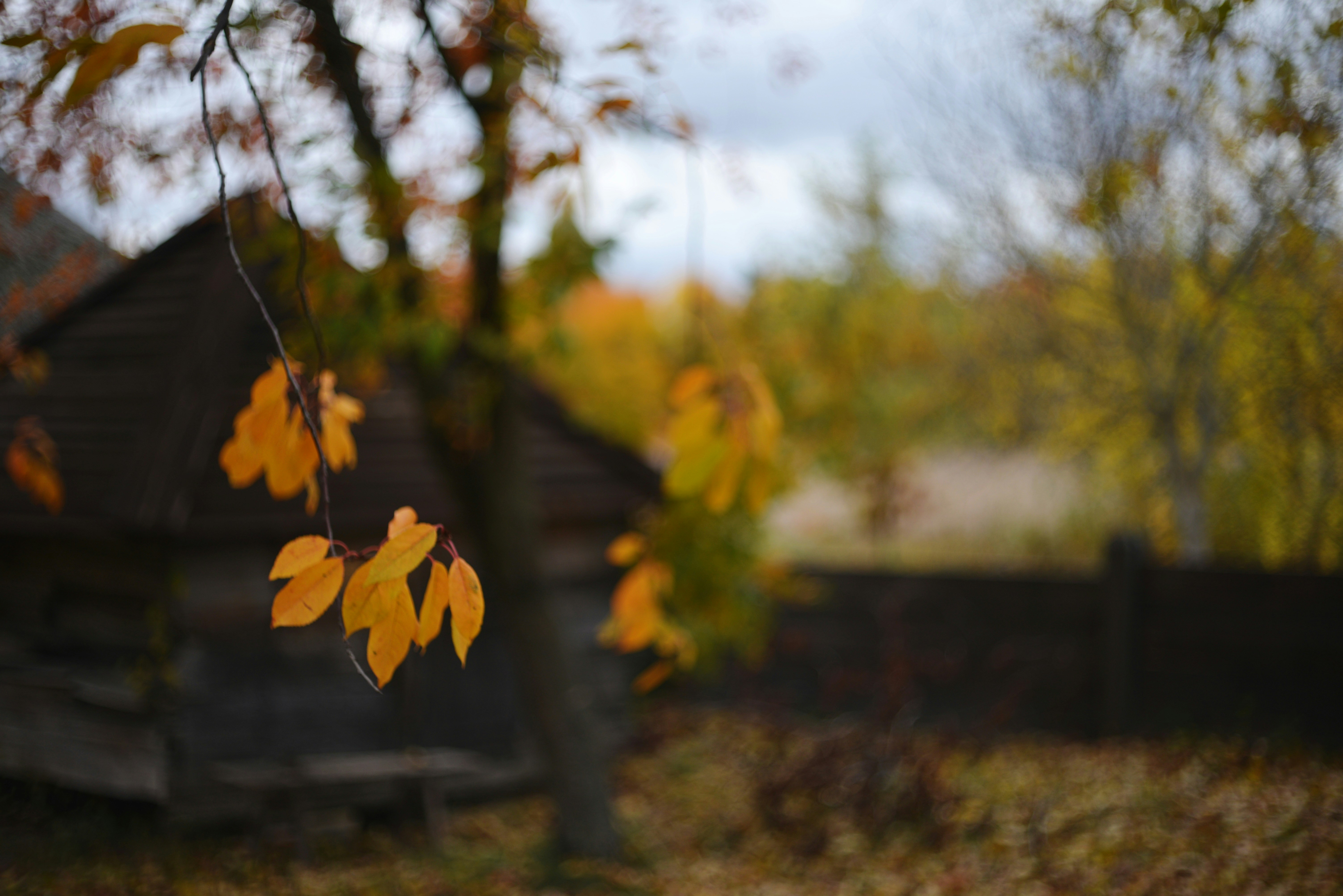 Photo by cherstve_pechivo