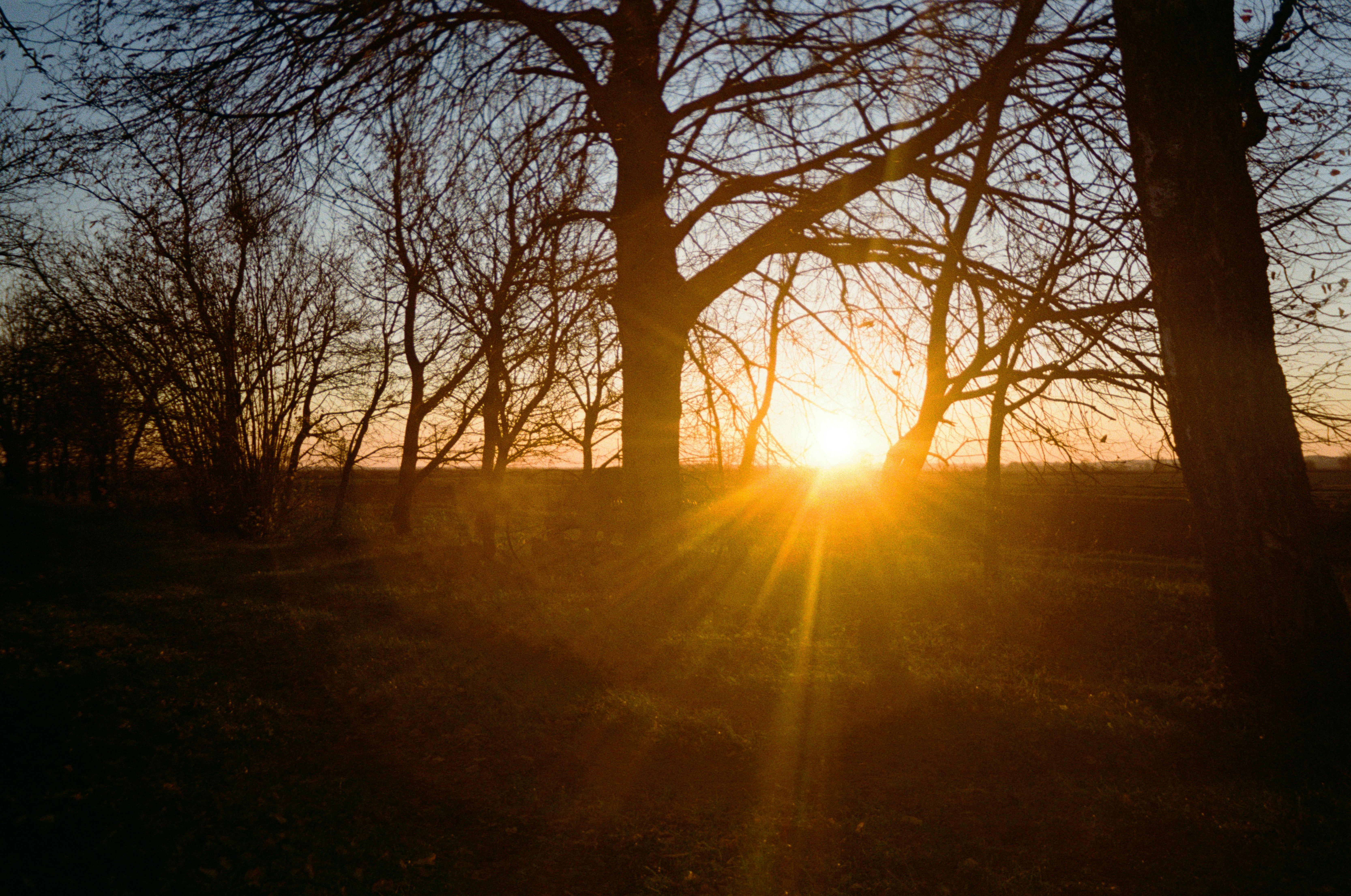 Photo by viktorsmoliak