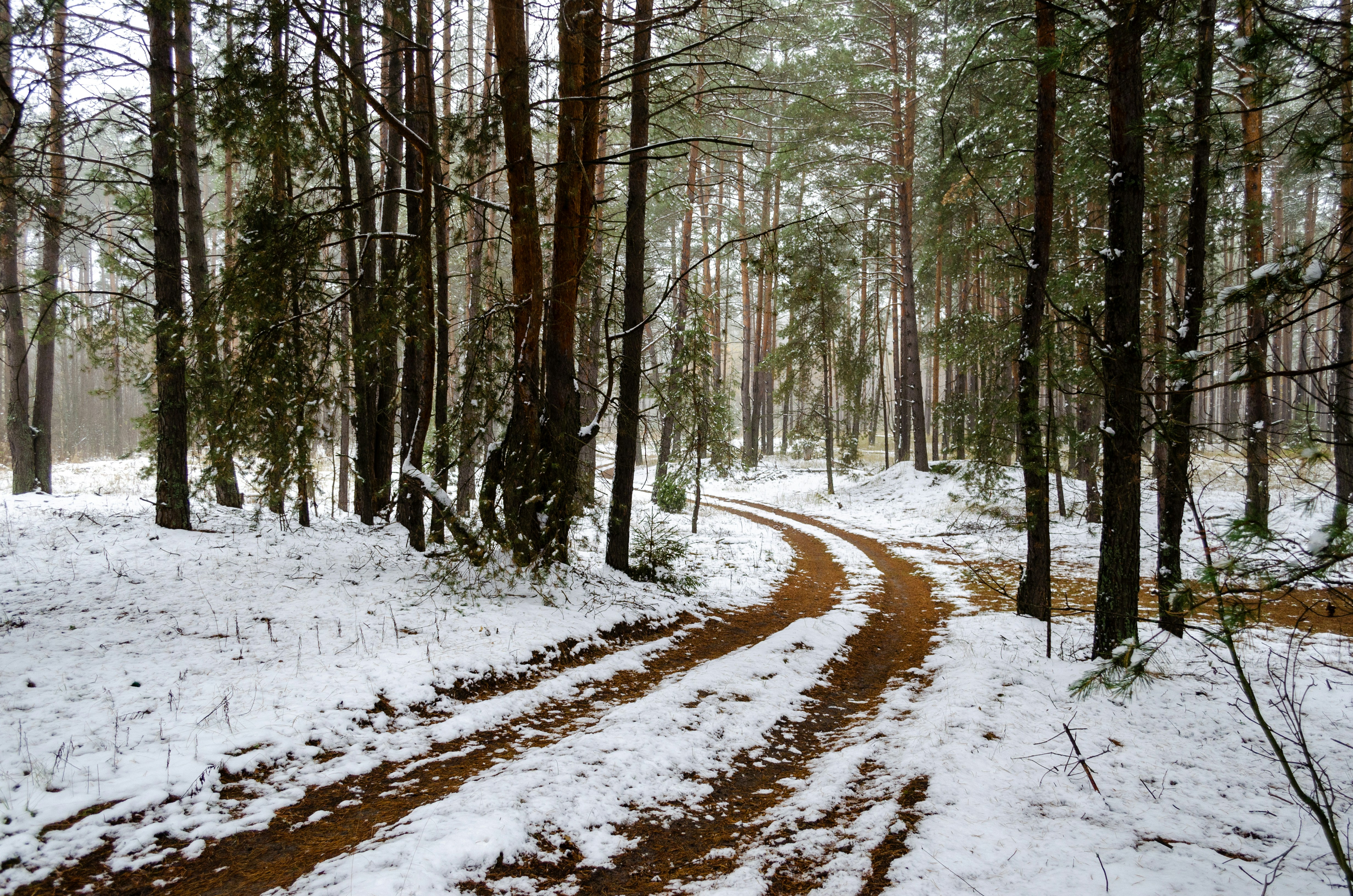 Photo by andrilliardbond