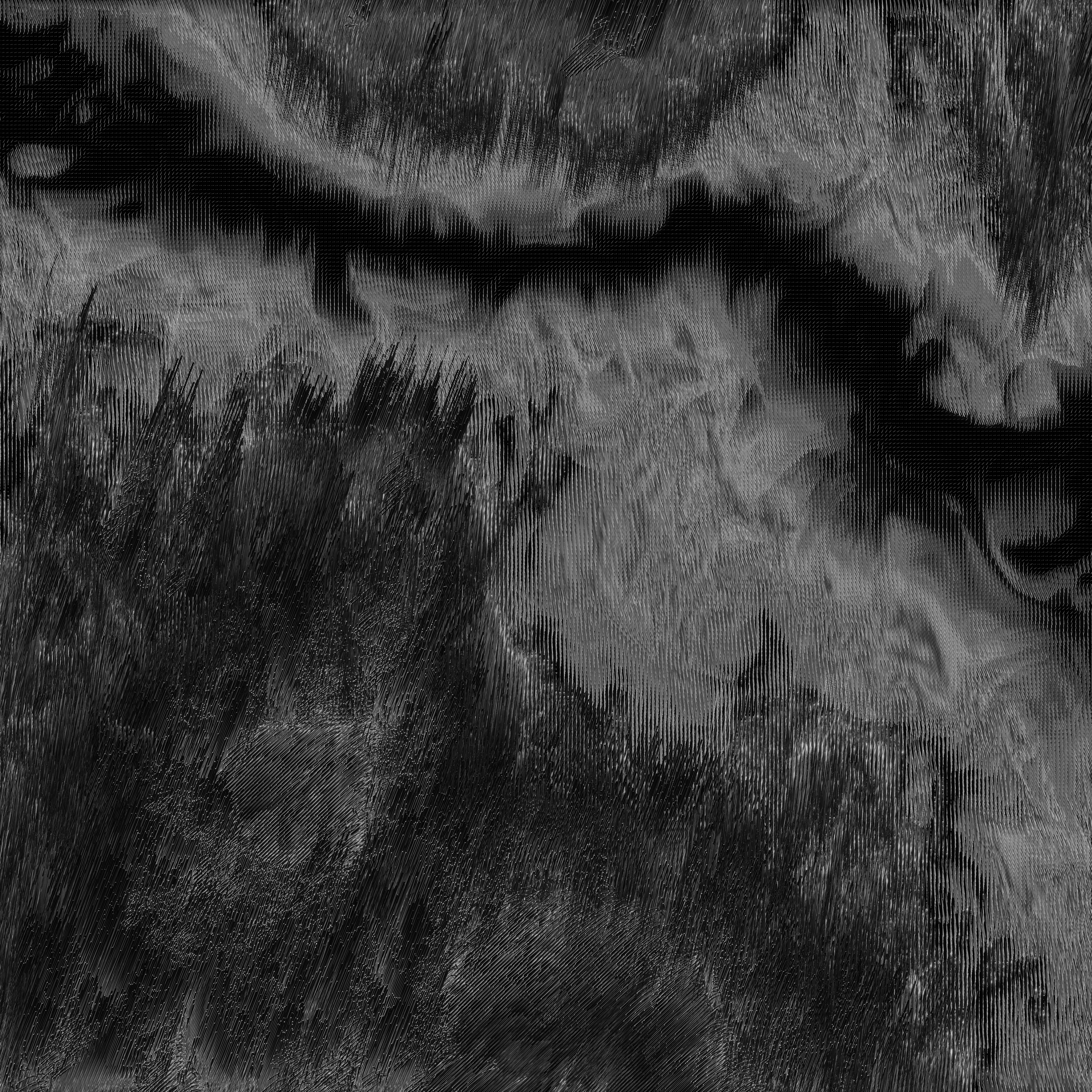 Photo by fckfullmoon