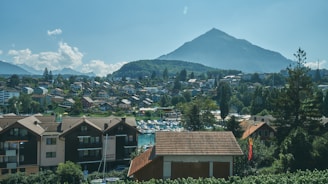 A view of a town with a mountain in the background
