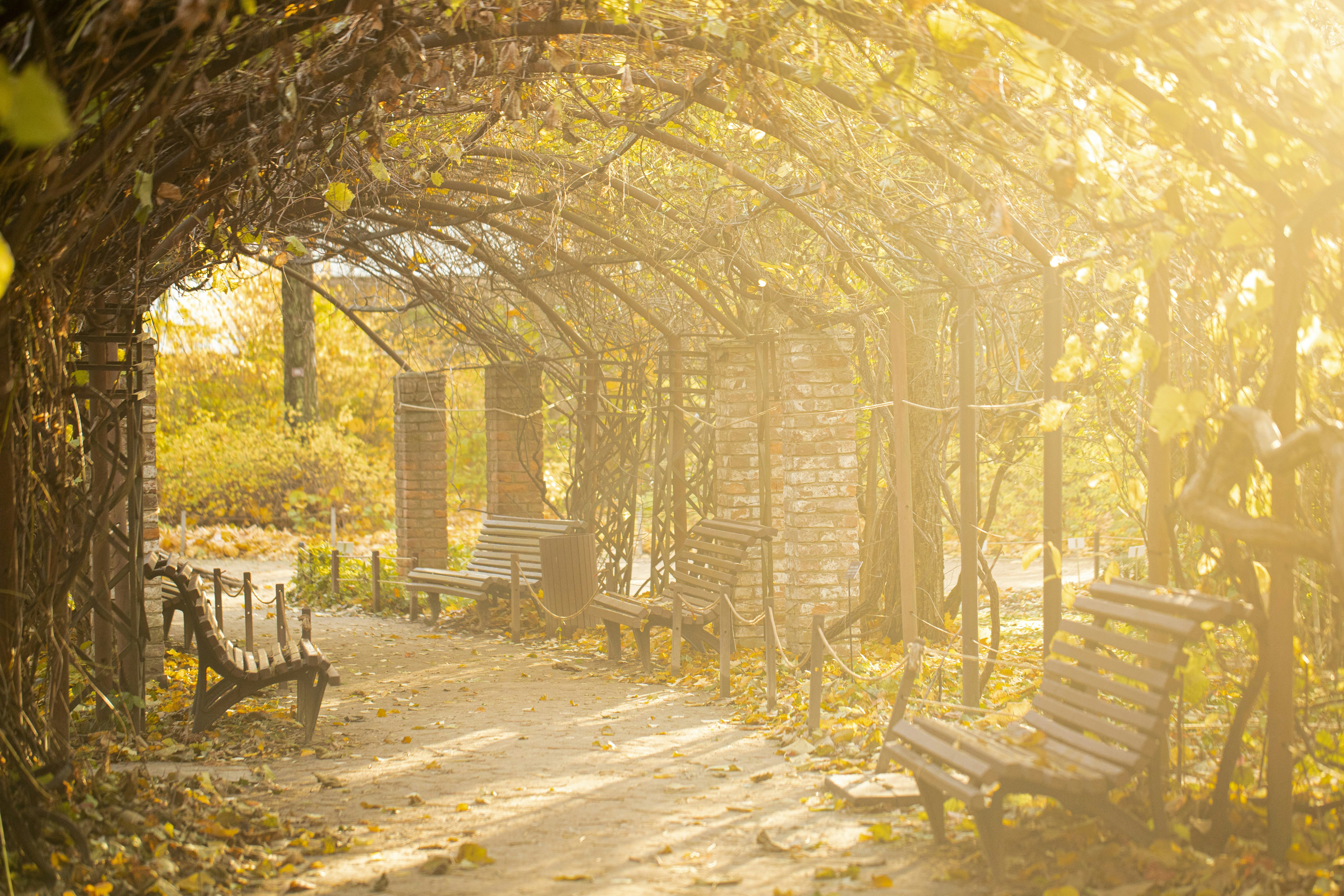 Photo by stef_enheart