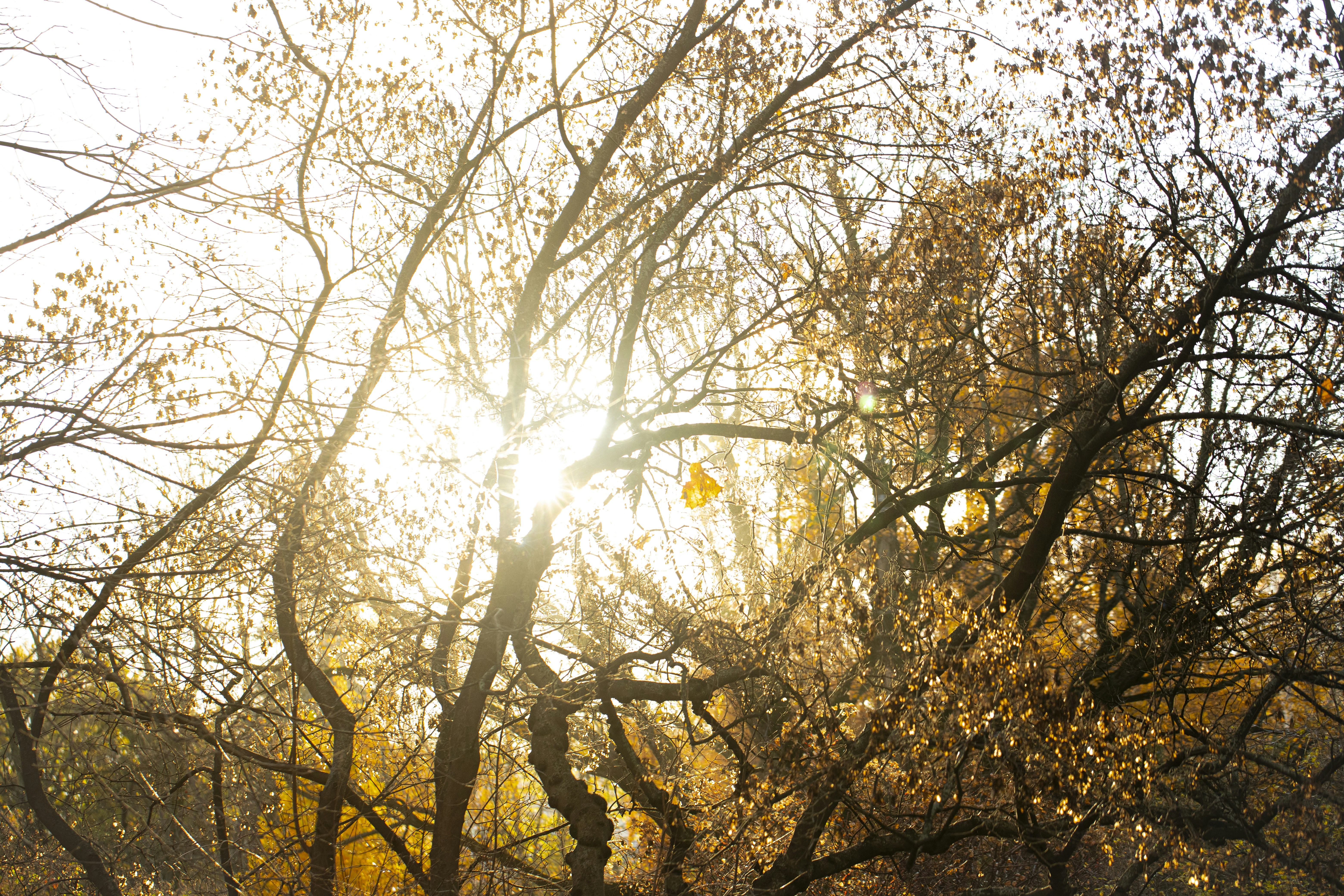 Photo by stef_enheart