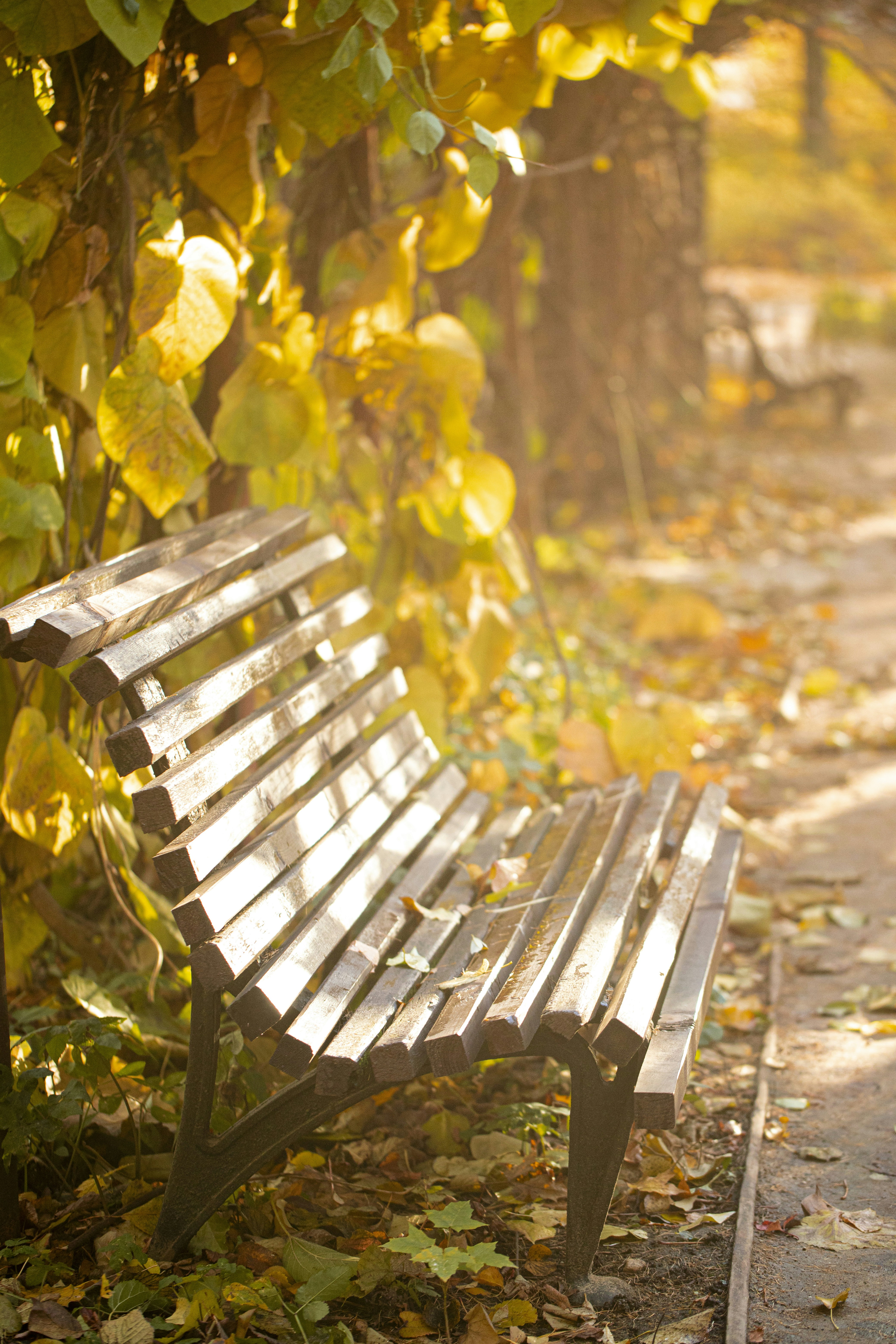 Photo by stef_enheart