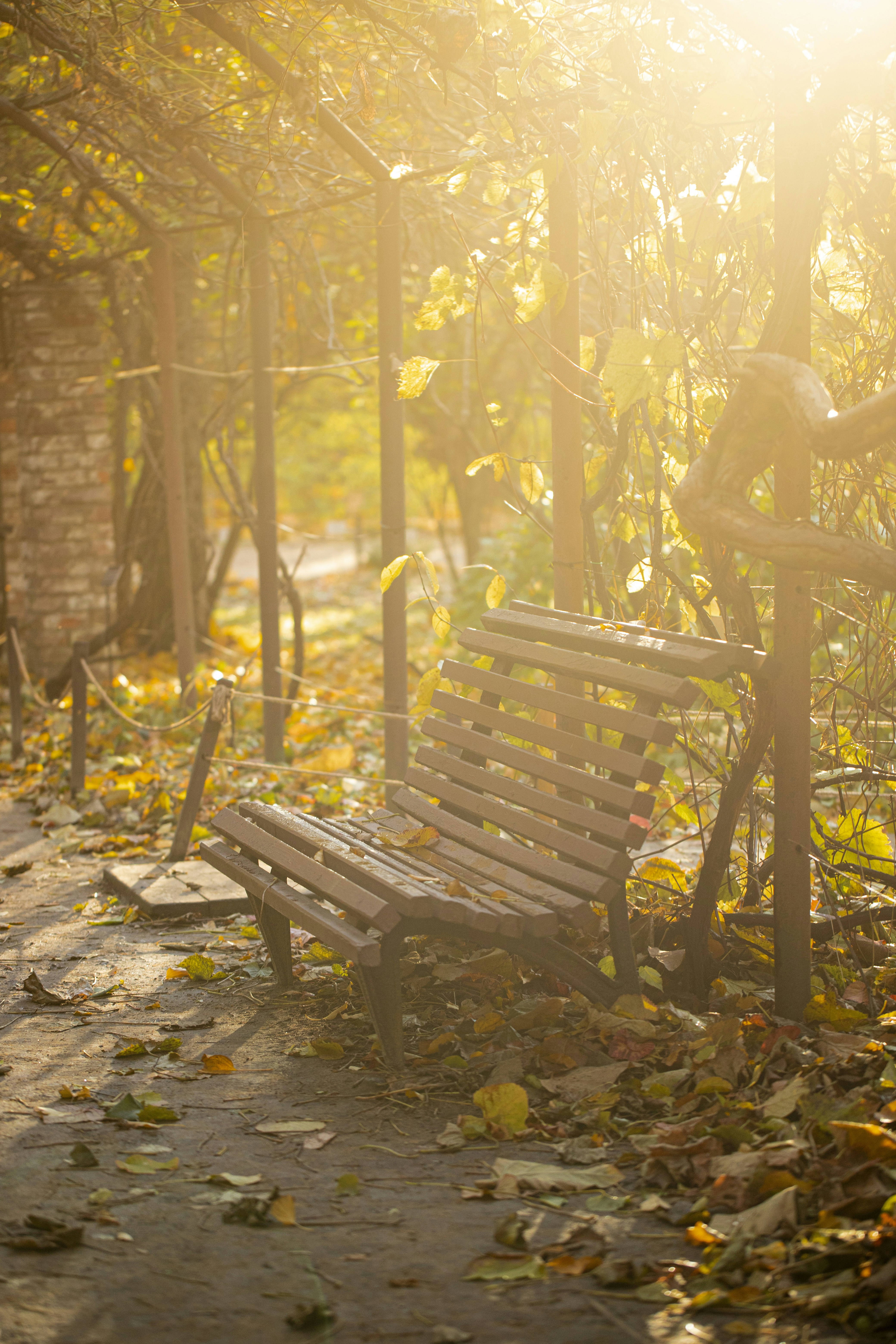 Photo by stef_enheart