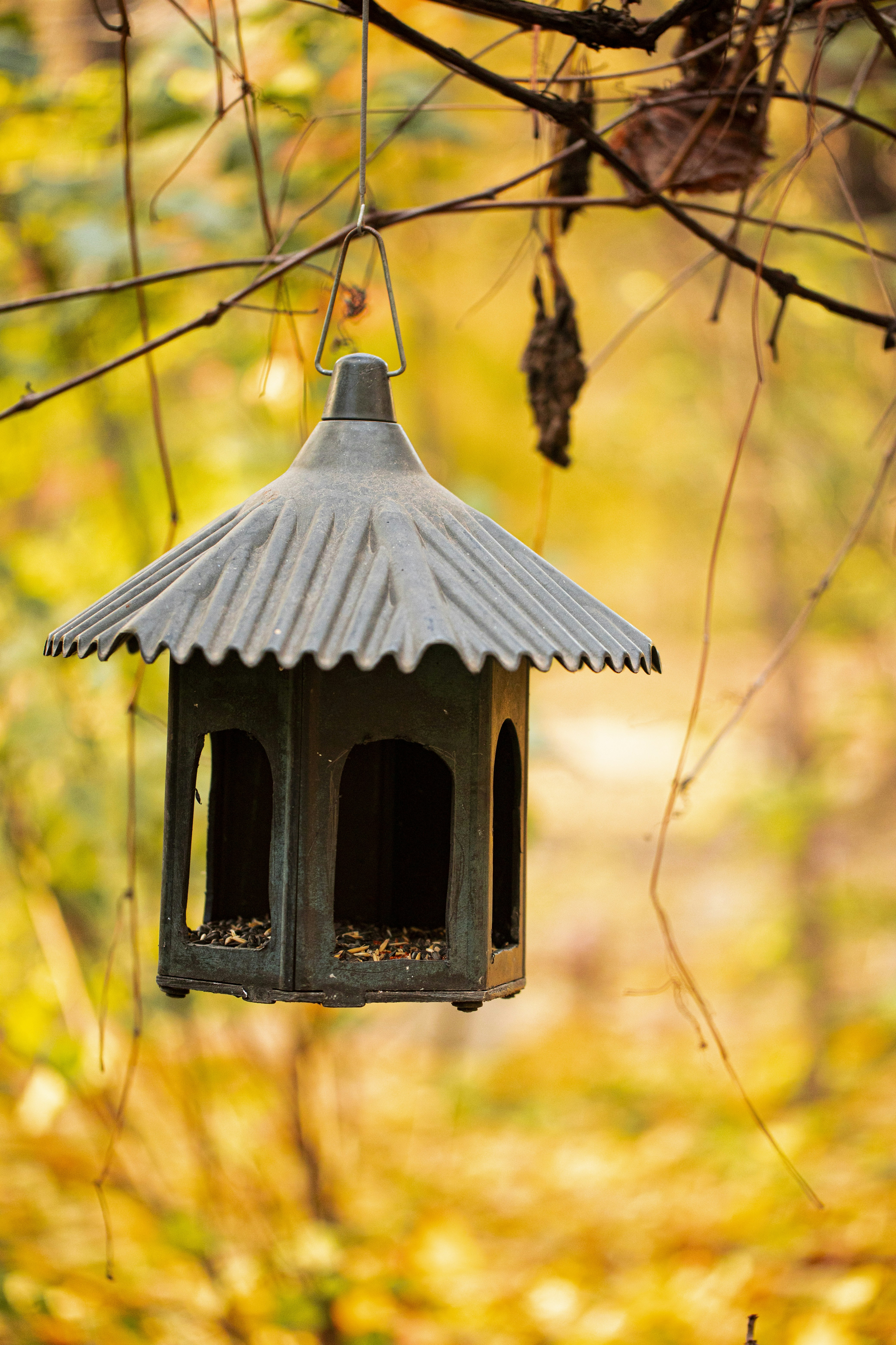 Photo by stef_enheart