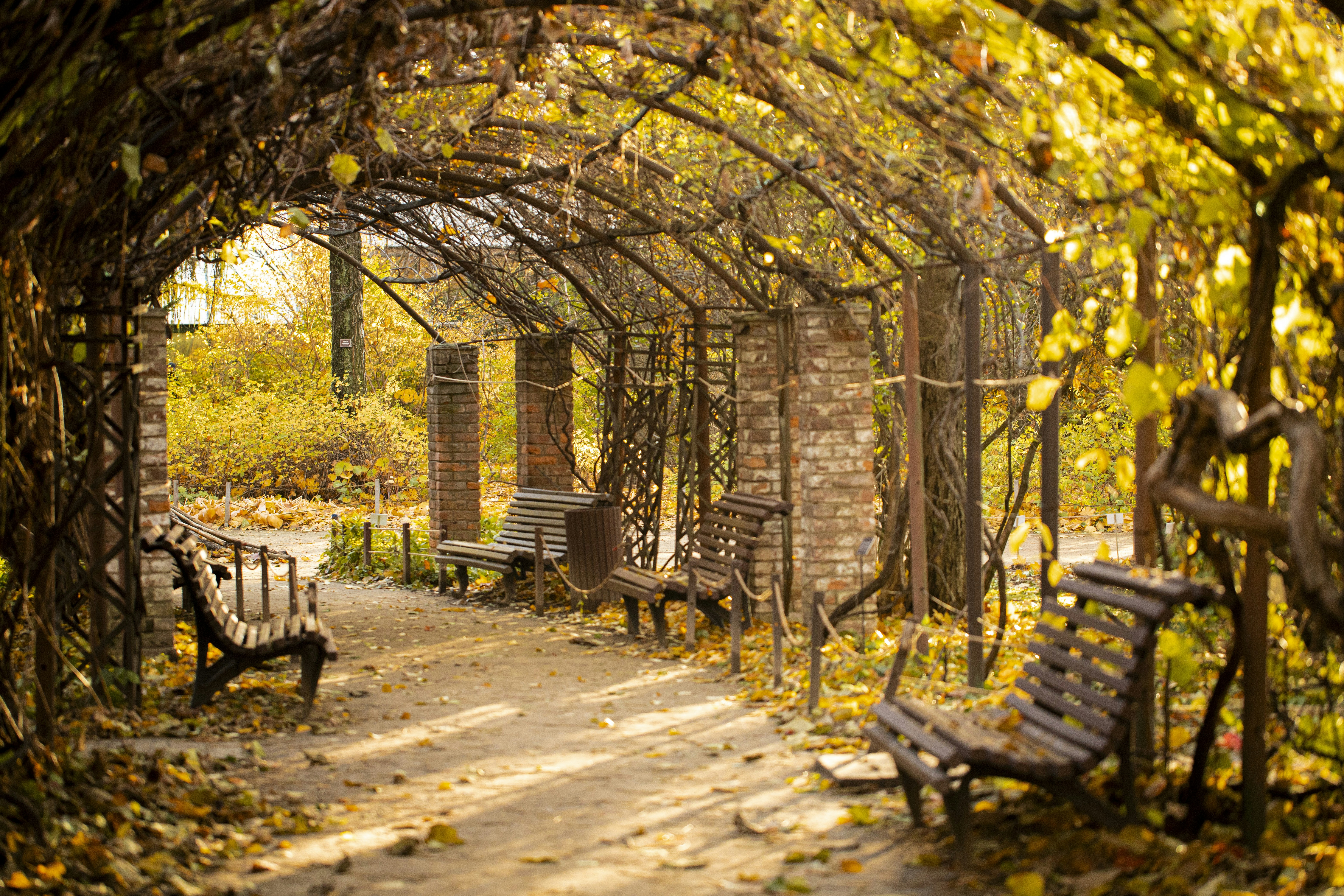 Photo by stef_enheart