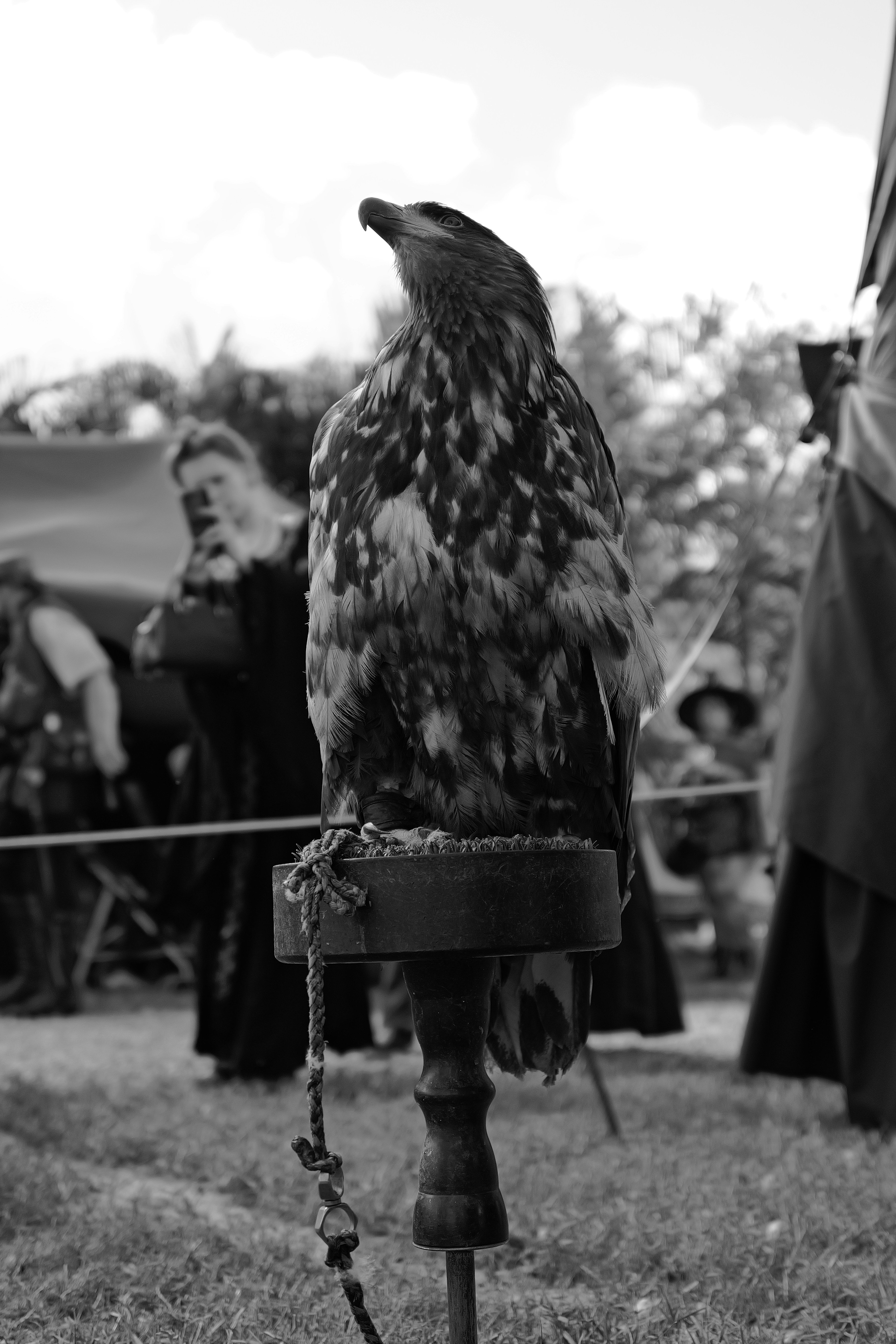 Photo by thephotochad