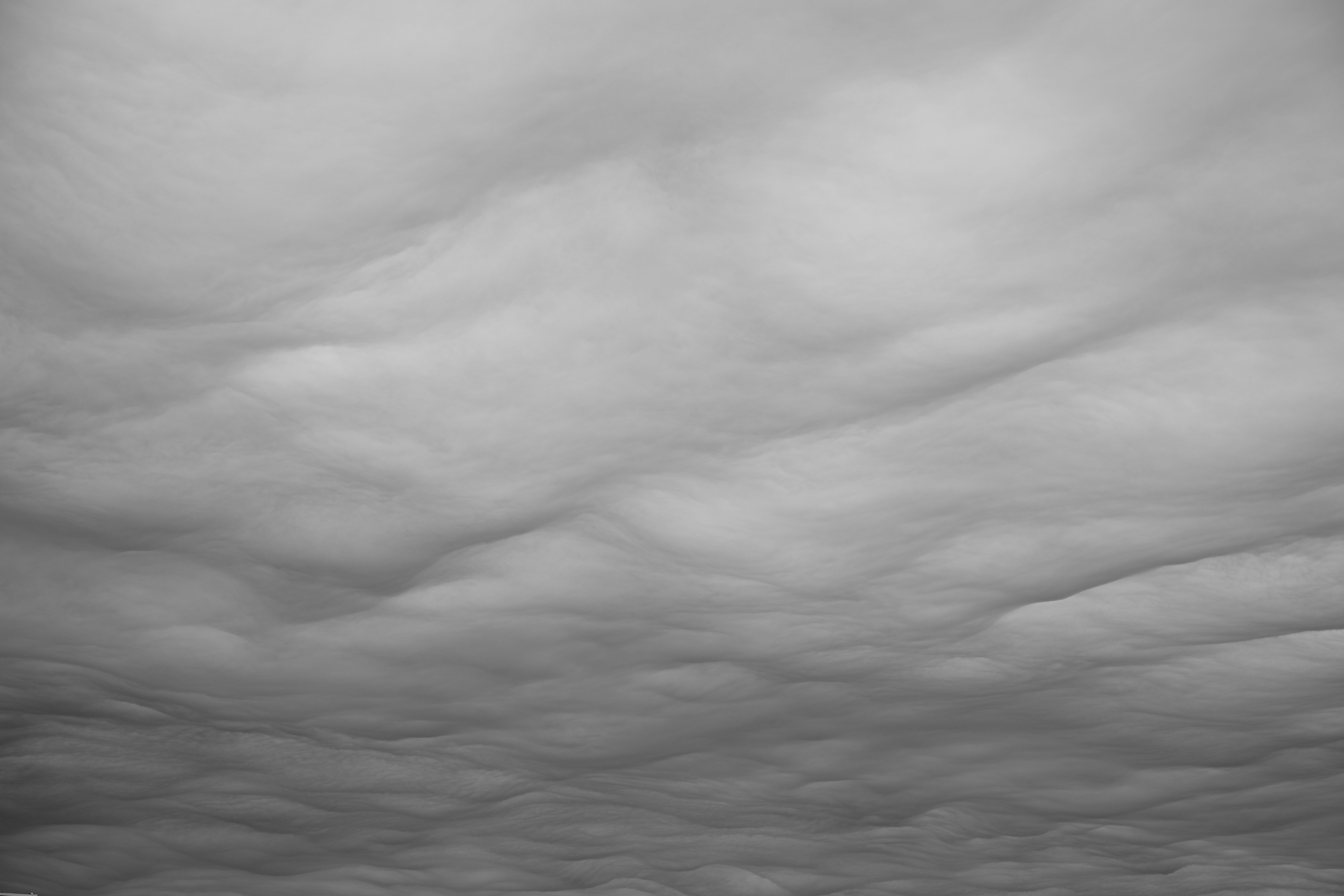 Photo by jonathankslim