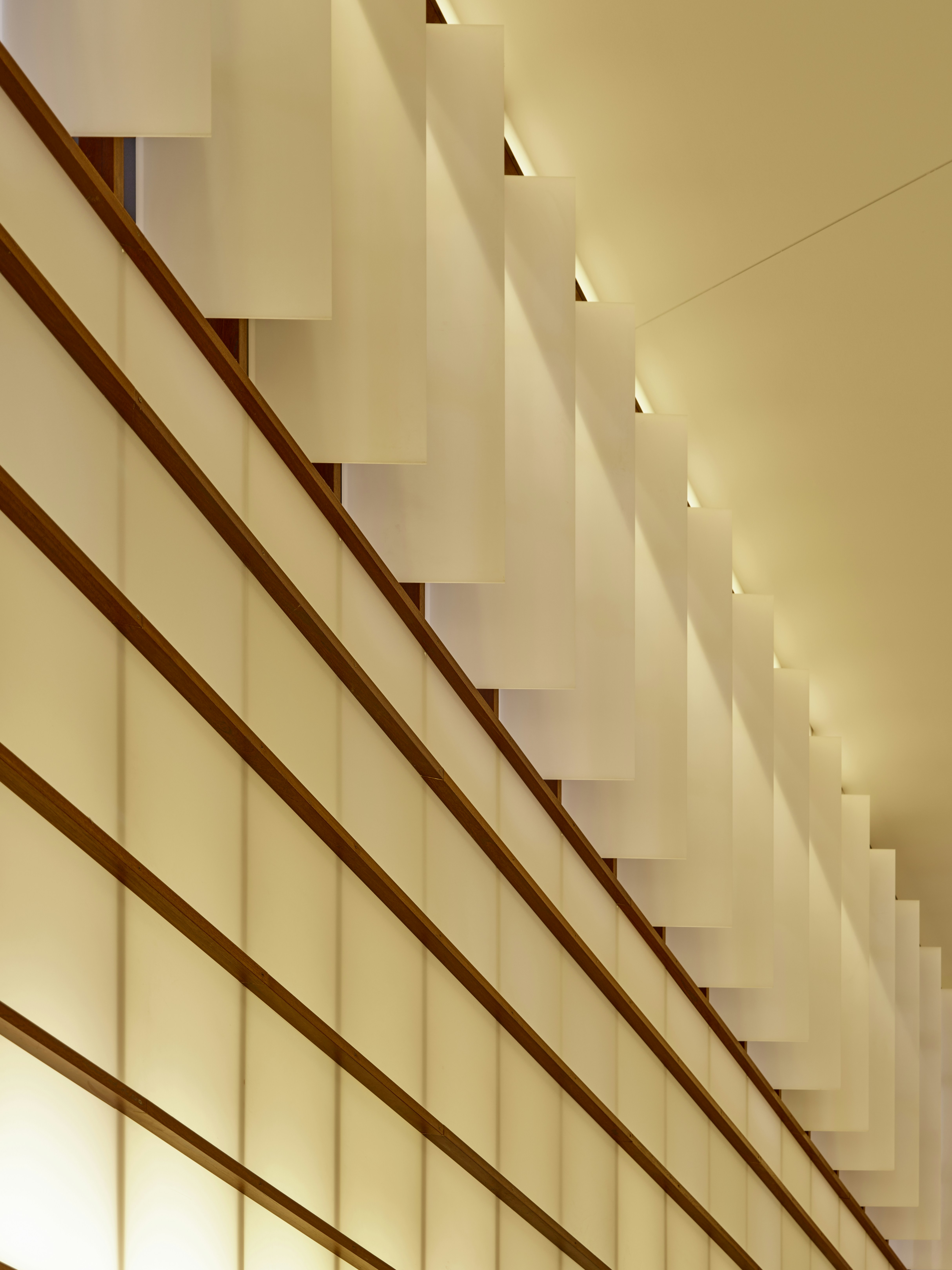 Photo by neonwangphotography