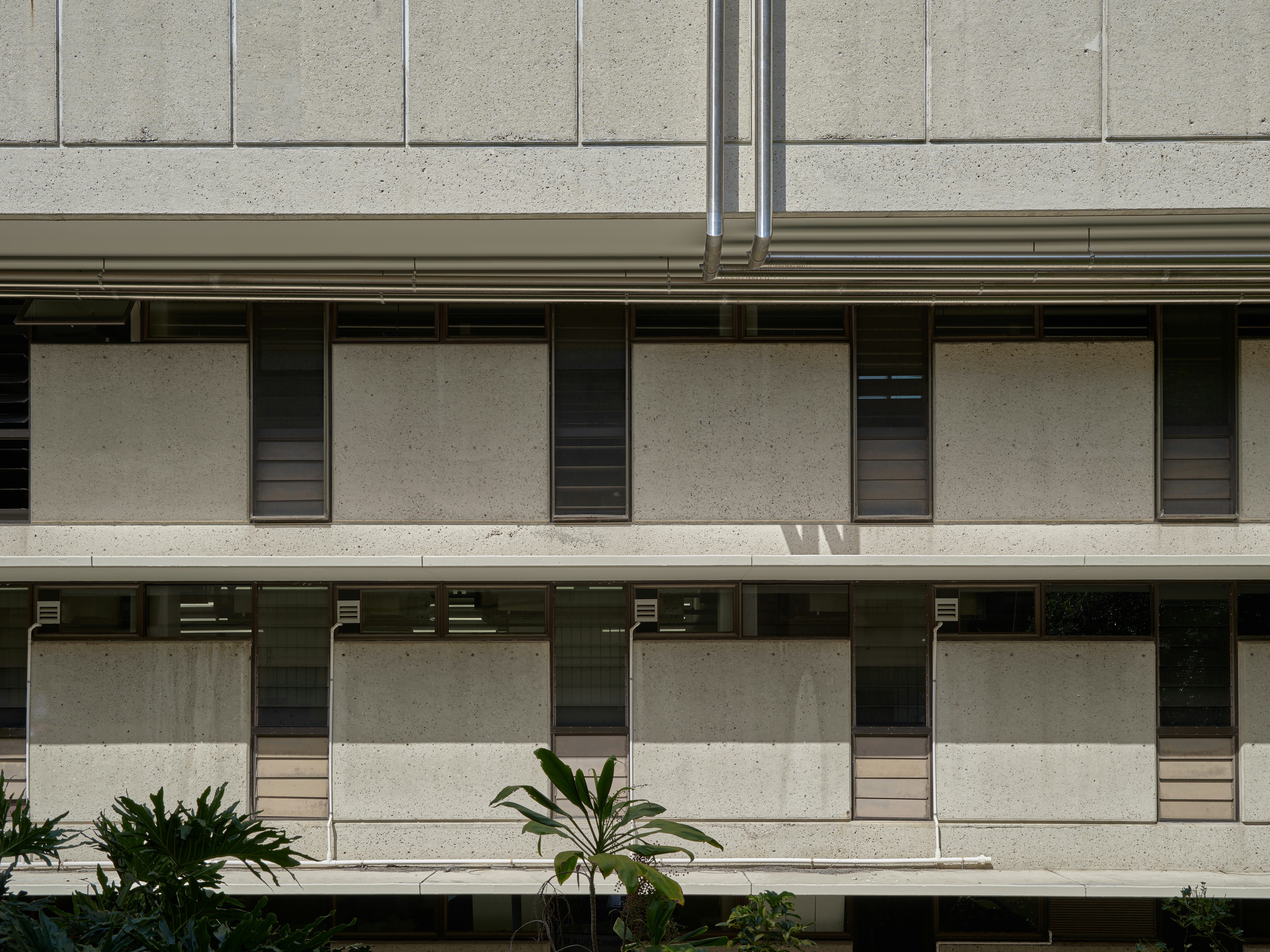 Photo by neonwangphotography