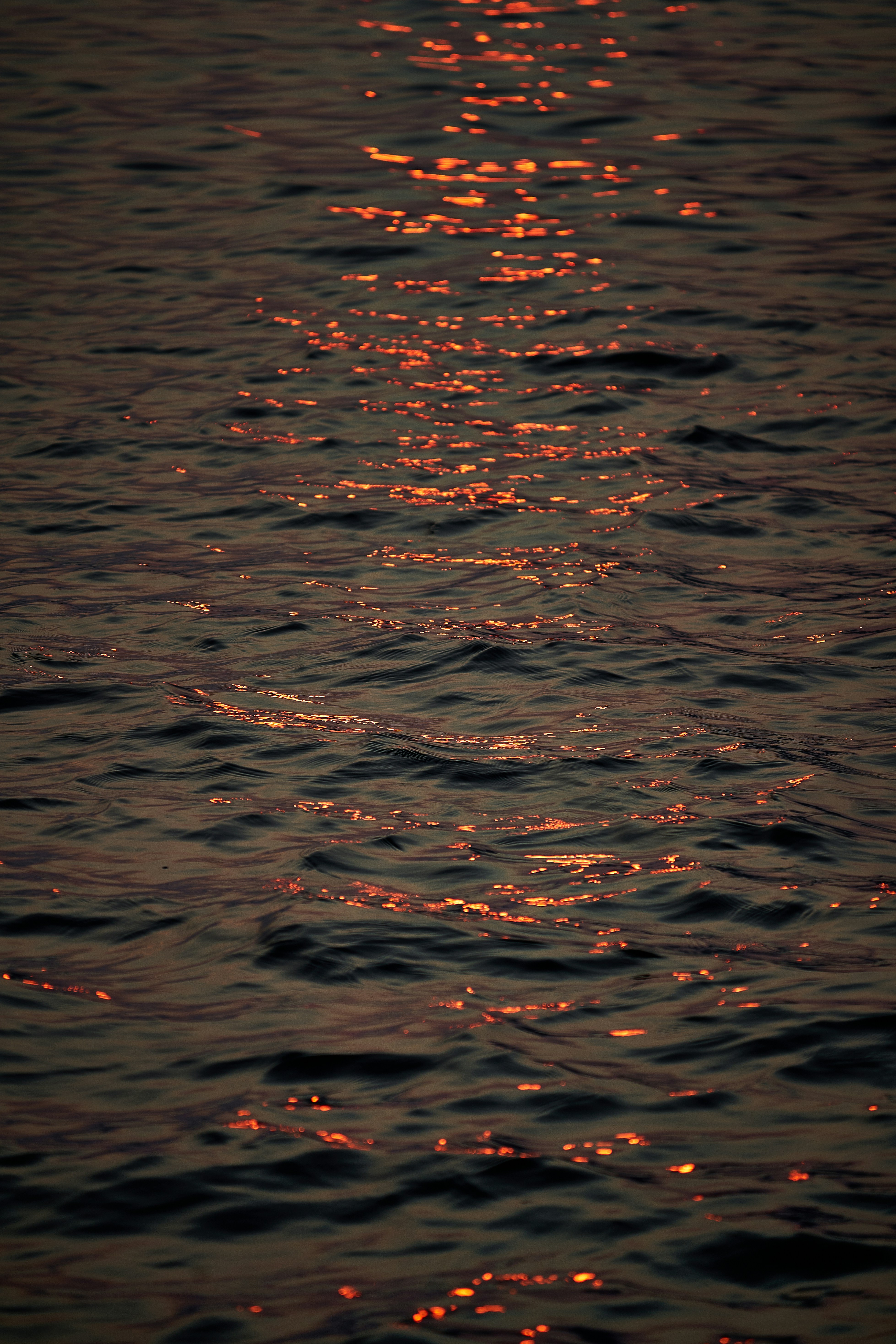 Photo by suicide_chewbacca