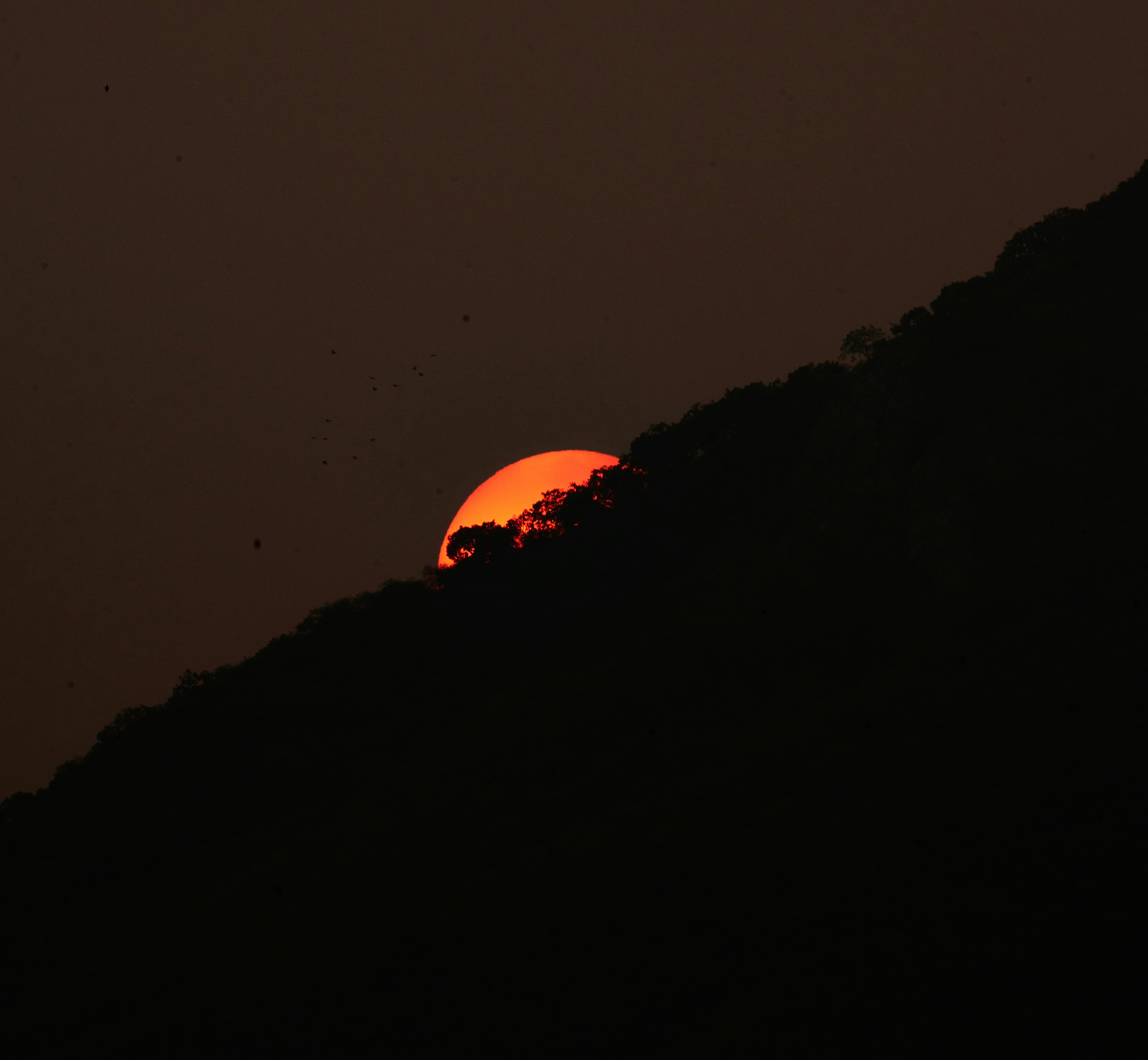 Photograph by Ashwini Chaudhary