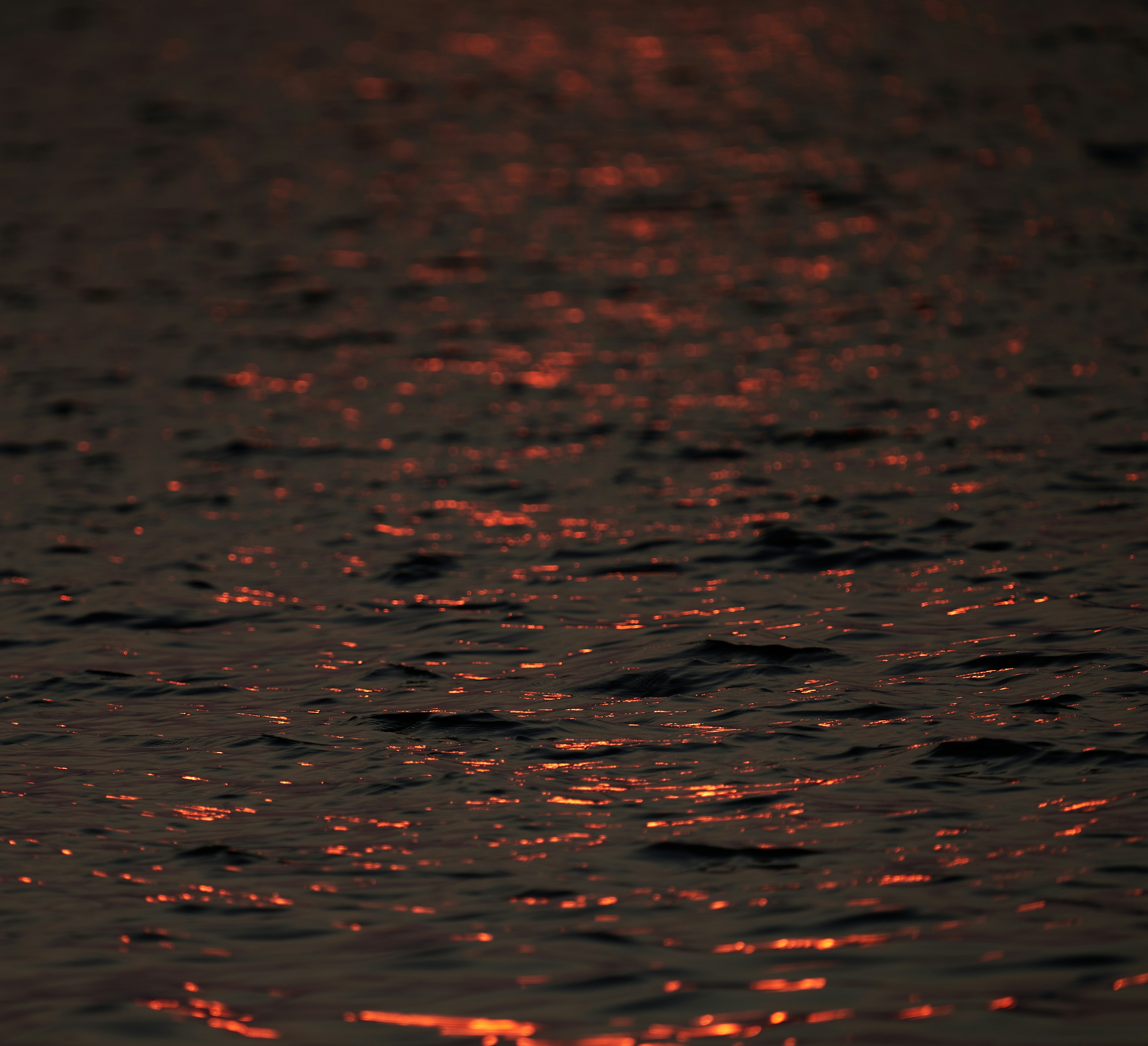 Photo by suicide_chewbacca