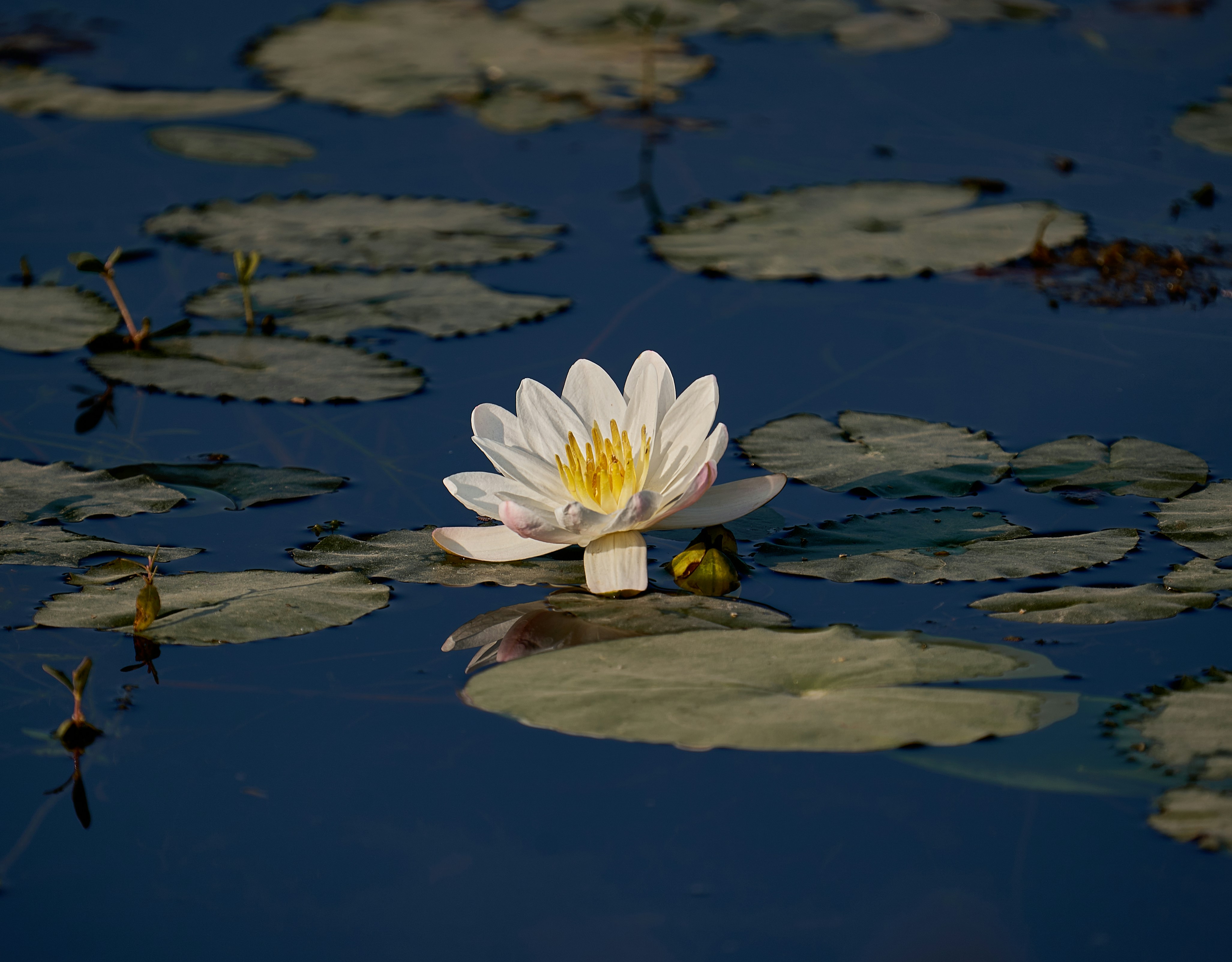 Photo by suicide_chewbacca