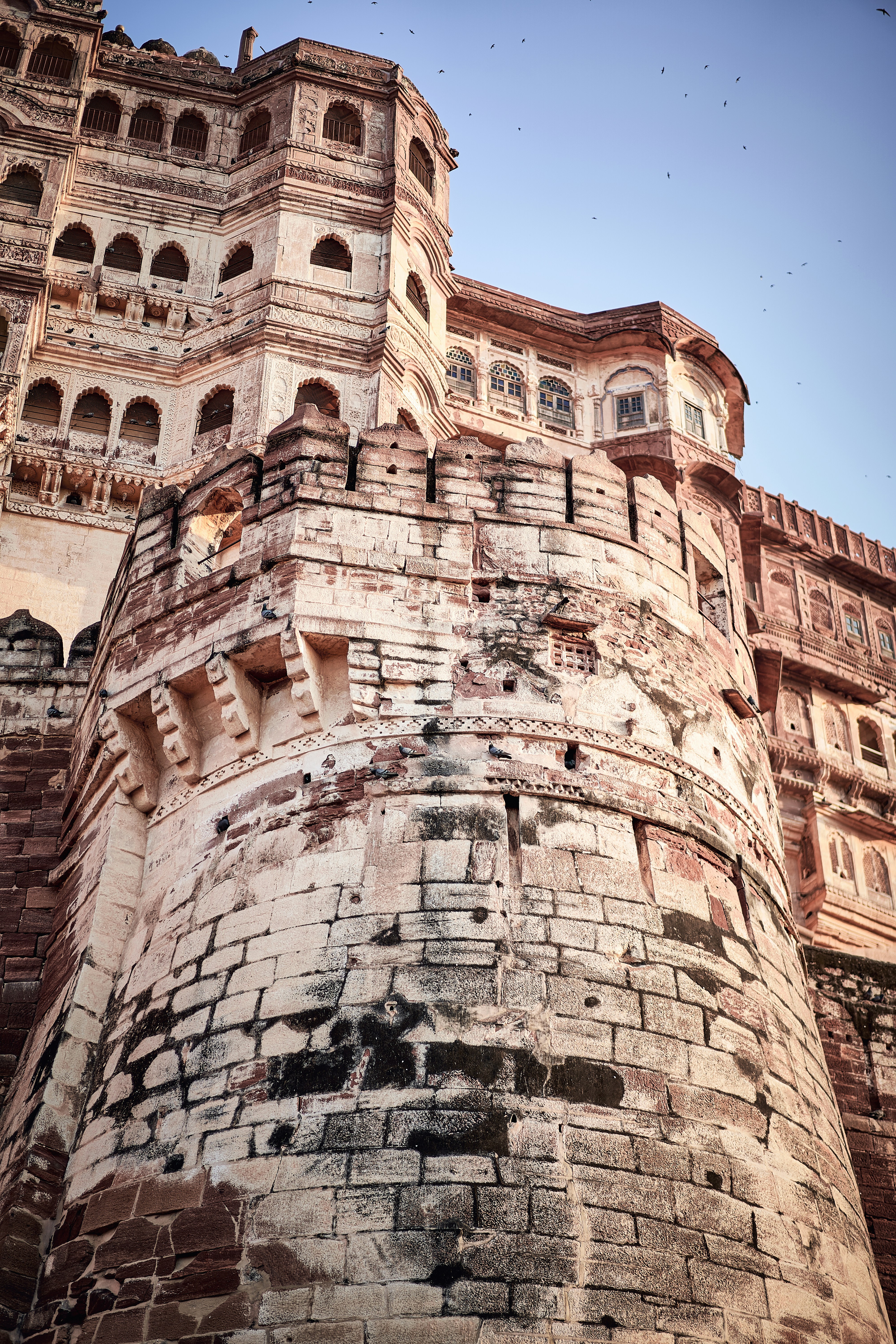 Photo by suicide_chewbacca