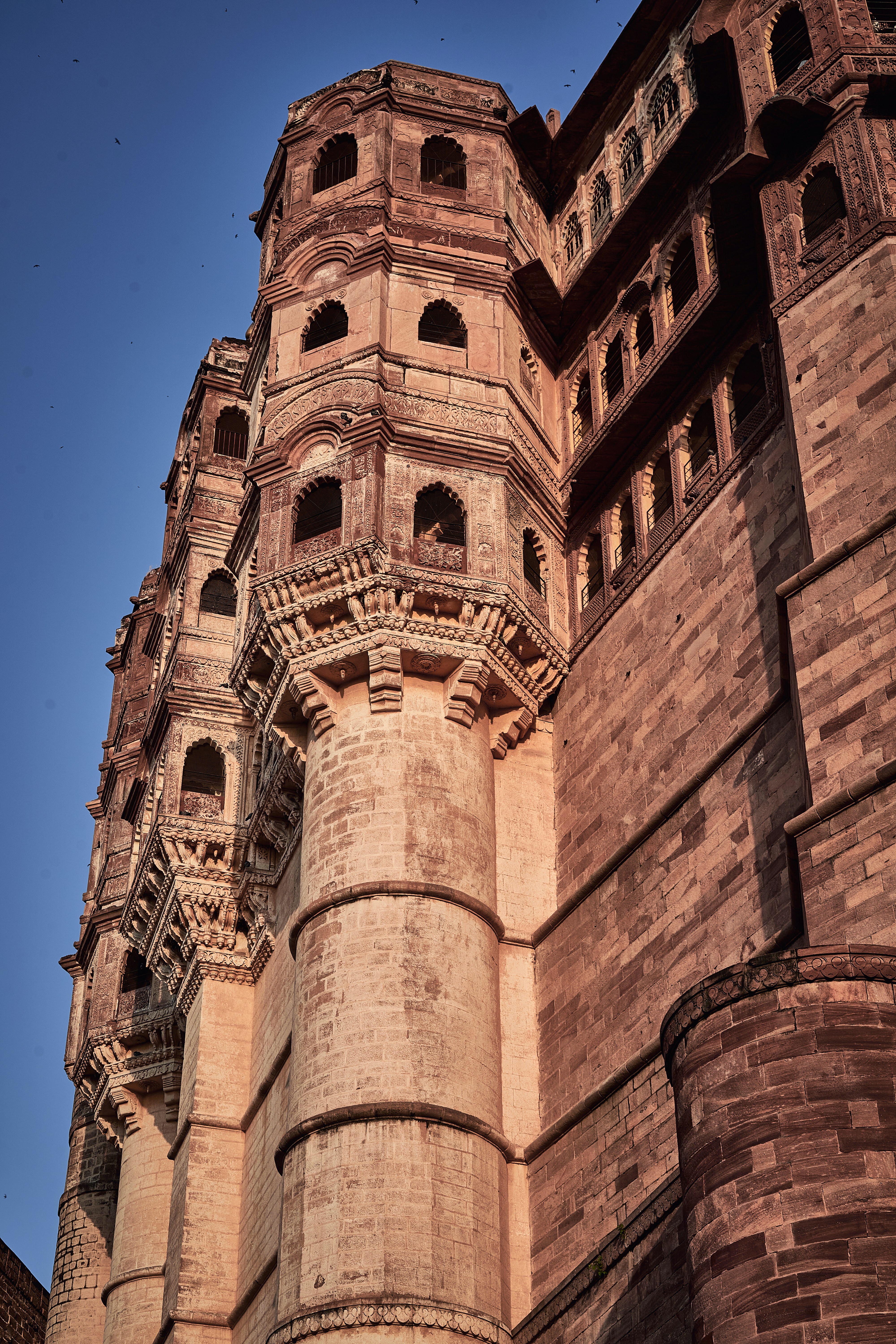 Photo by suicide_chewbacca