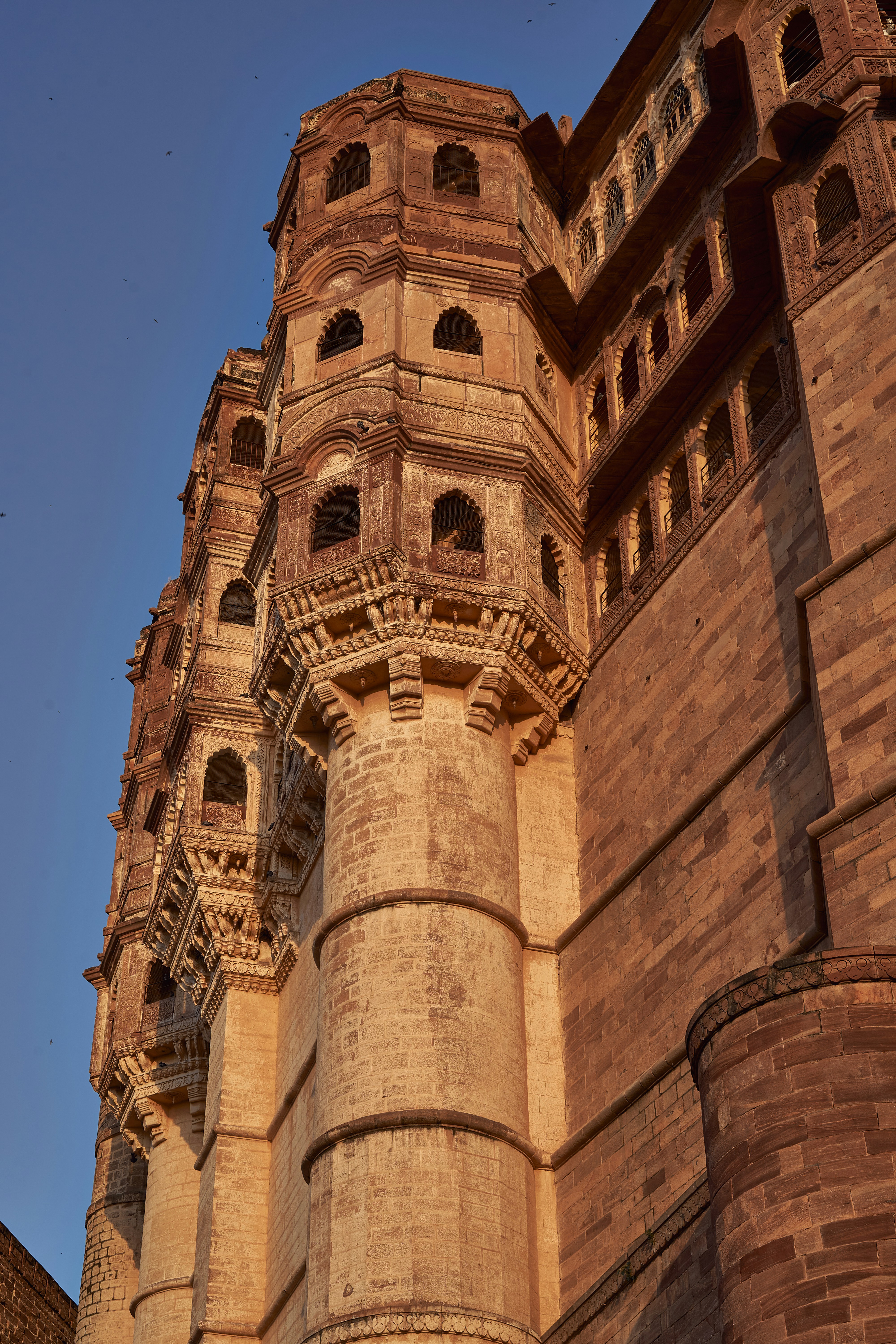 Photograph by Ashwini Chaudhary