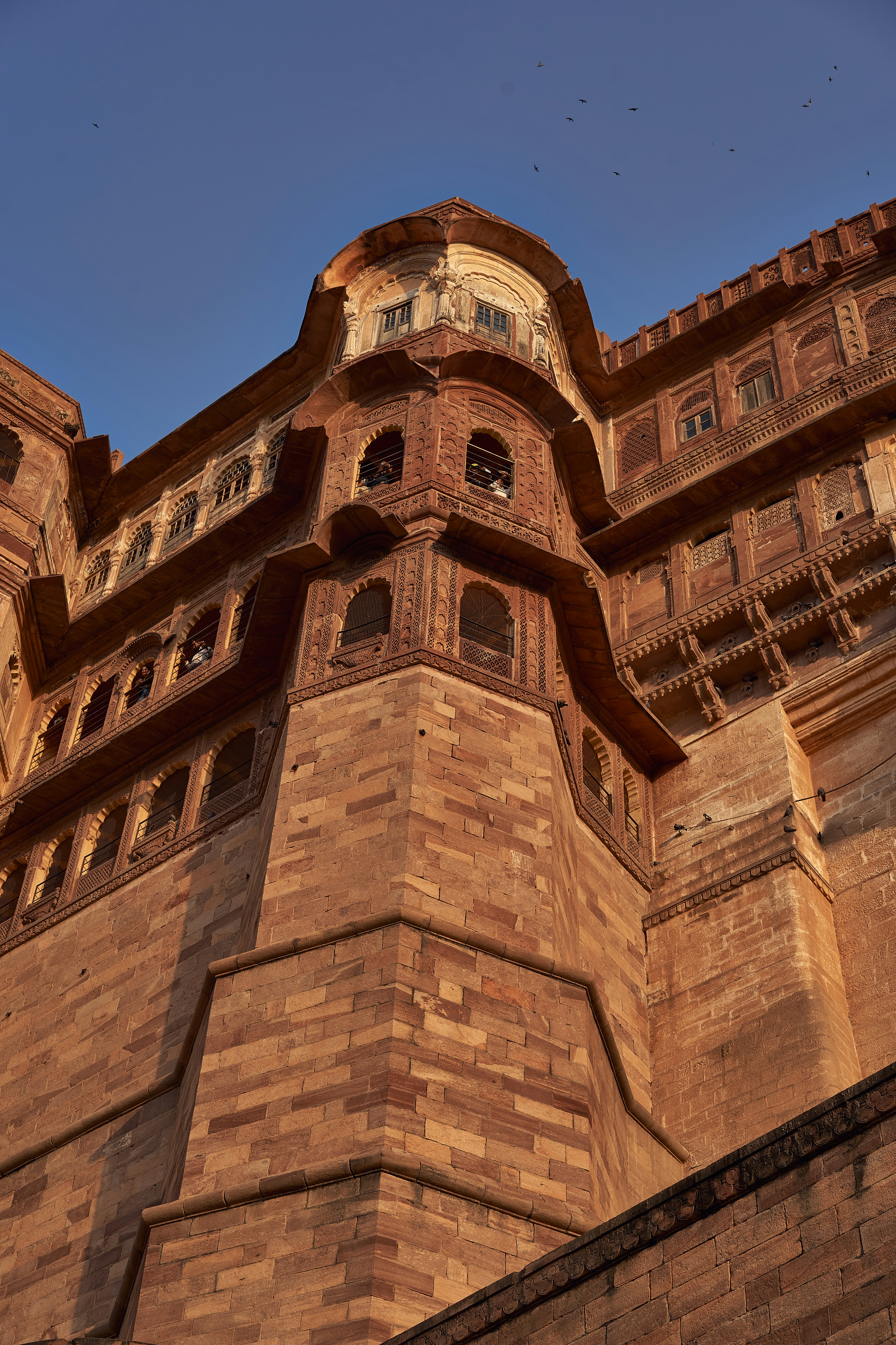 Photo by suicide_chewbacca