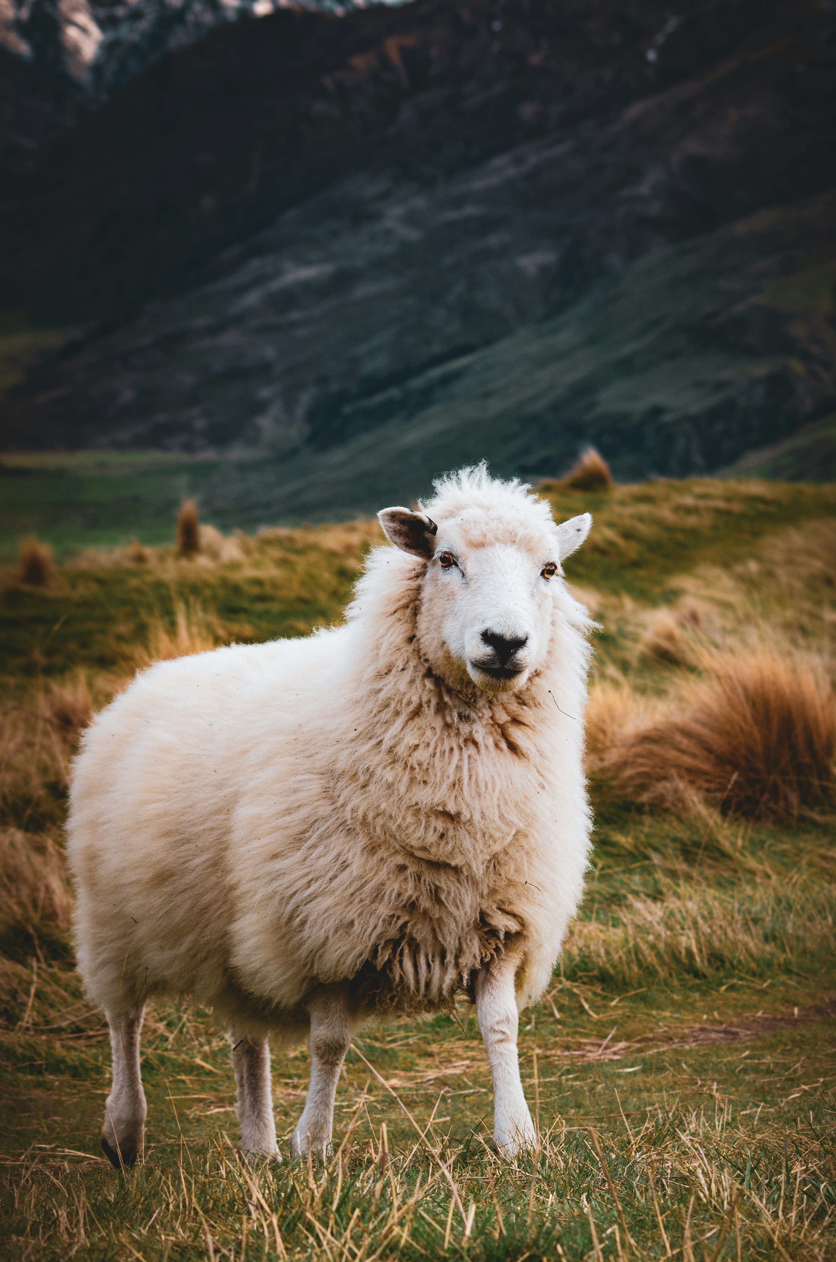 Photo by framesofdiscovery