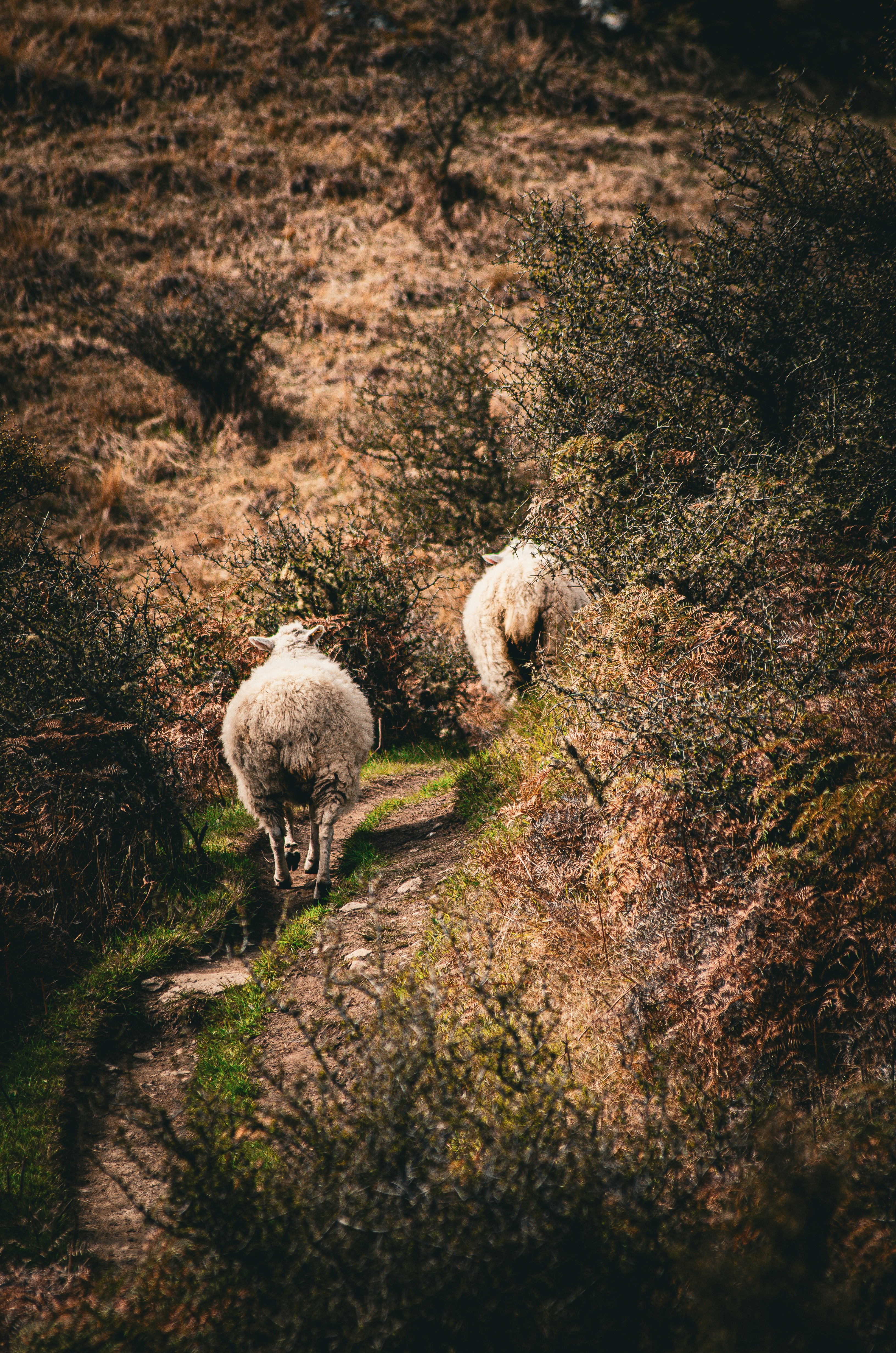 Photo by framesofdiscovery