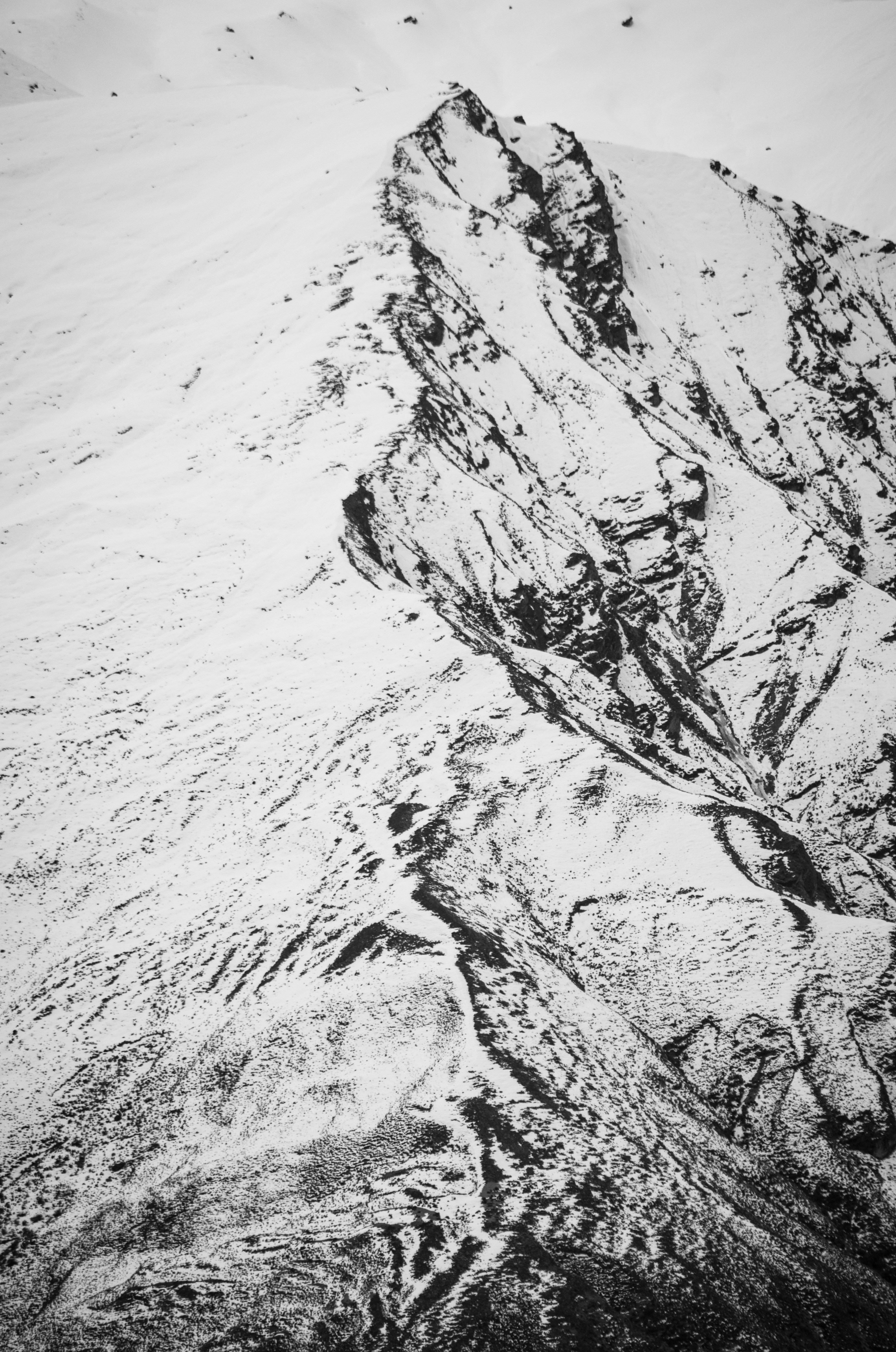 Photo by framesofdiscovery