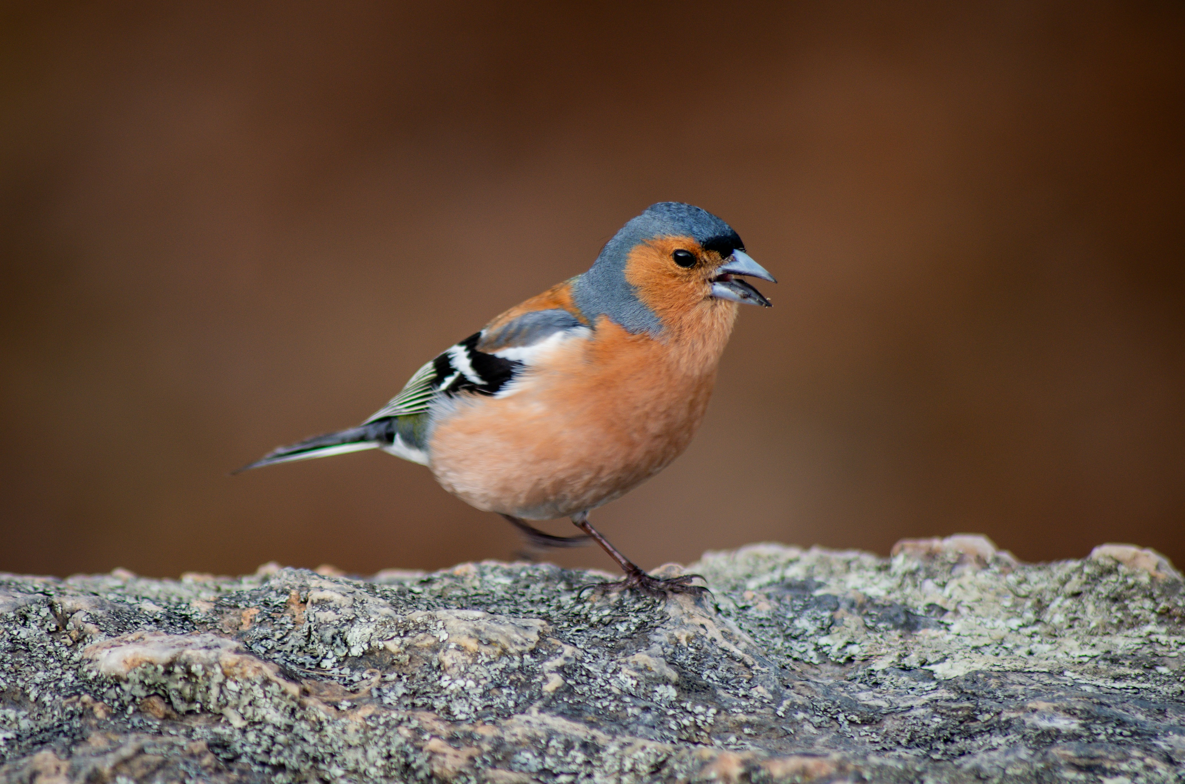 Photo by framesofdiscovery