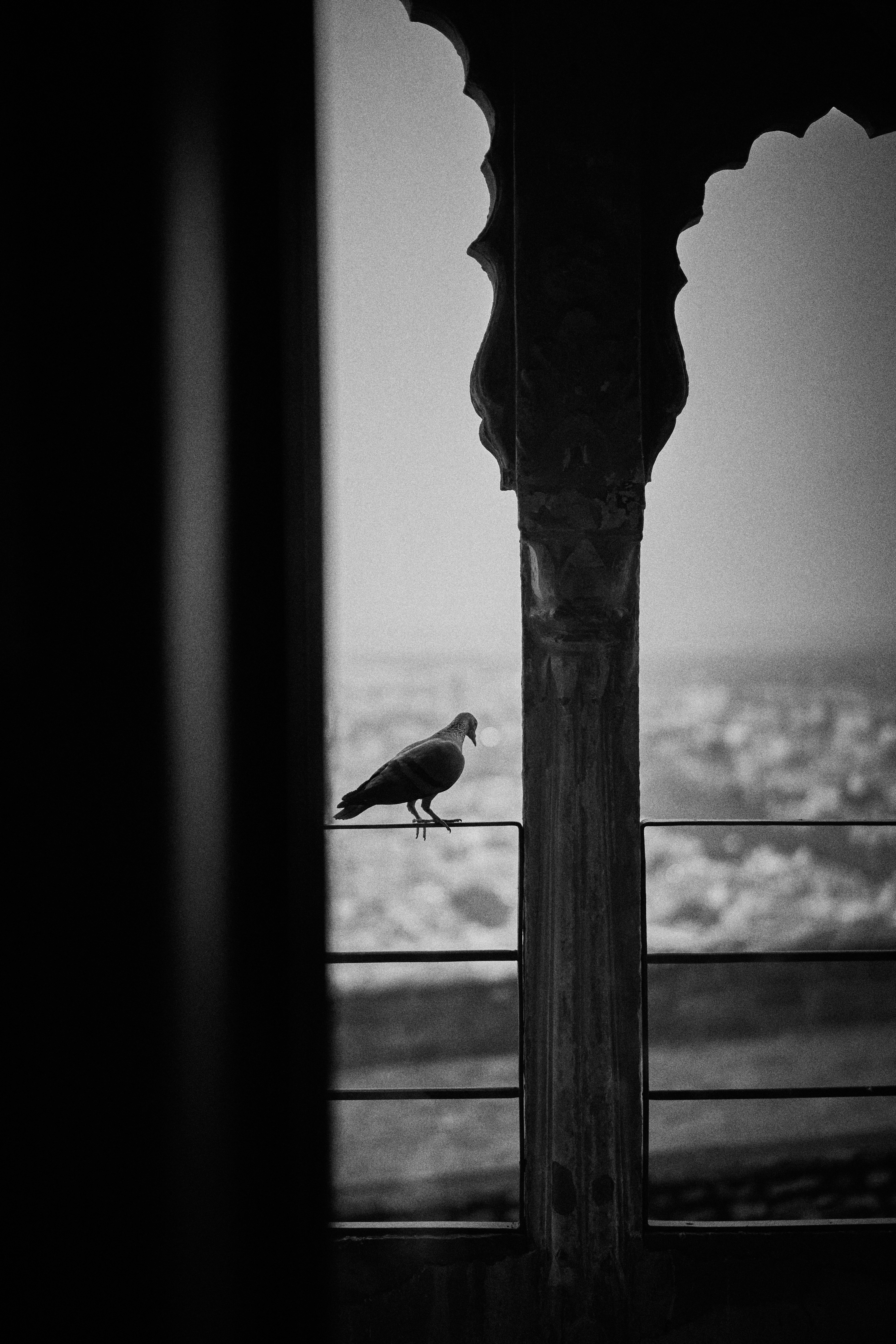Photograph by Ashwini Chaudhary