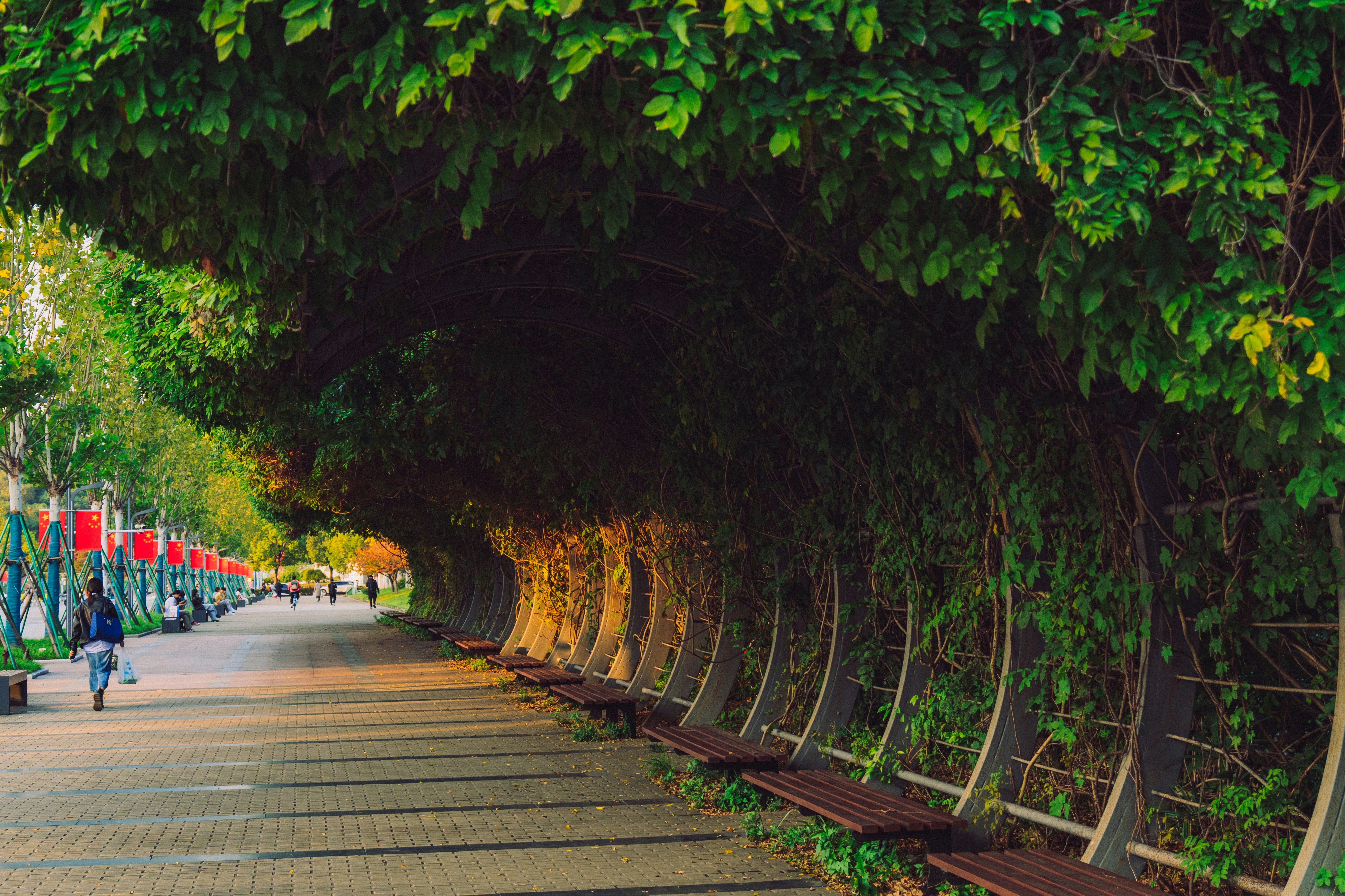 Photo by aasing_gwok