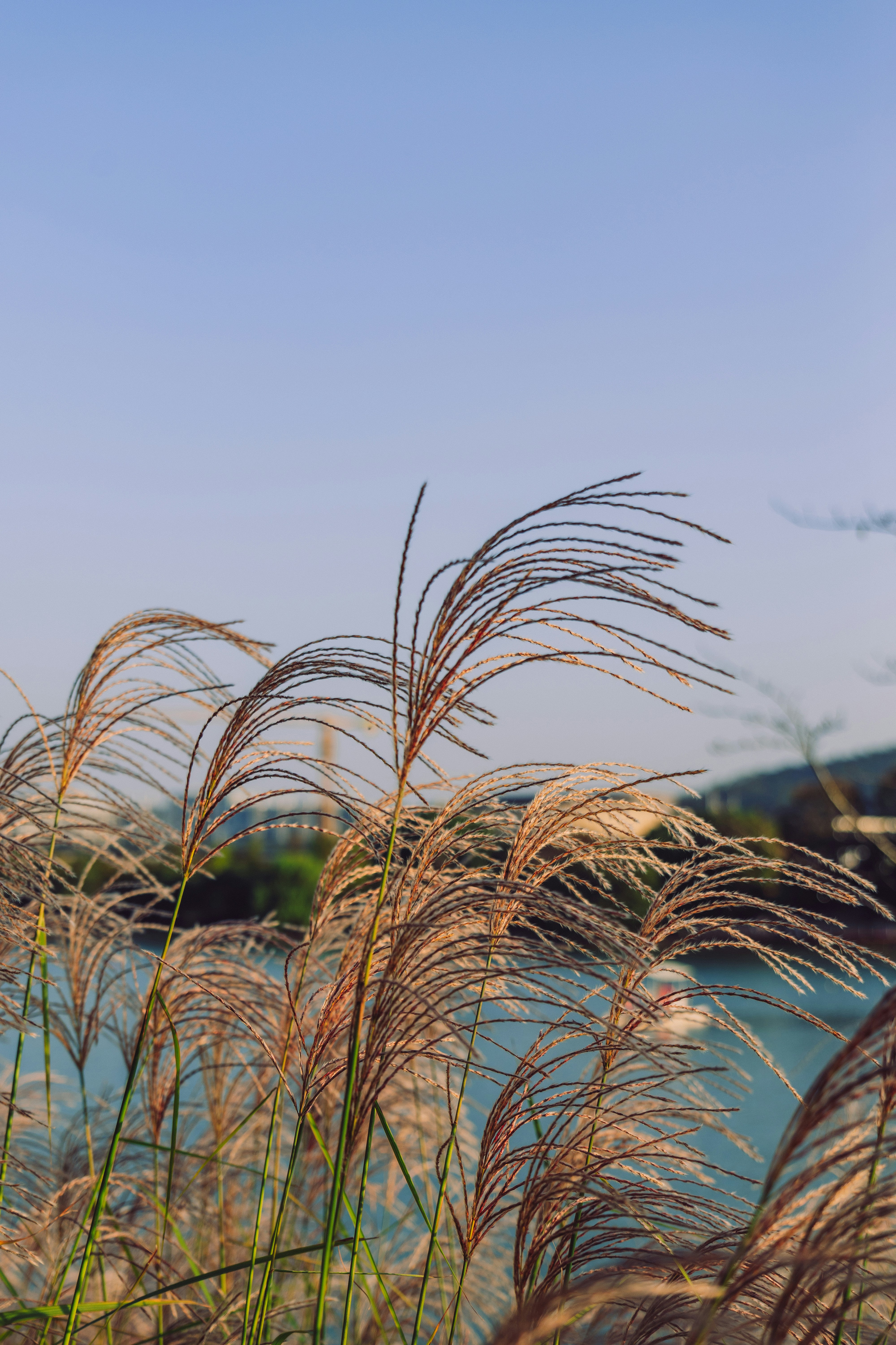 Photo by aasing_gwok