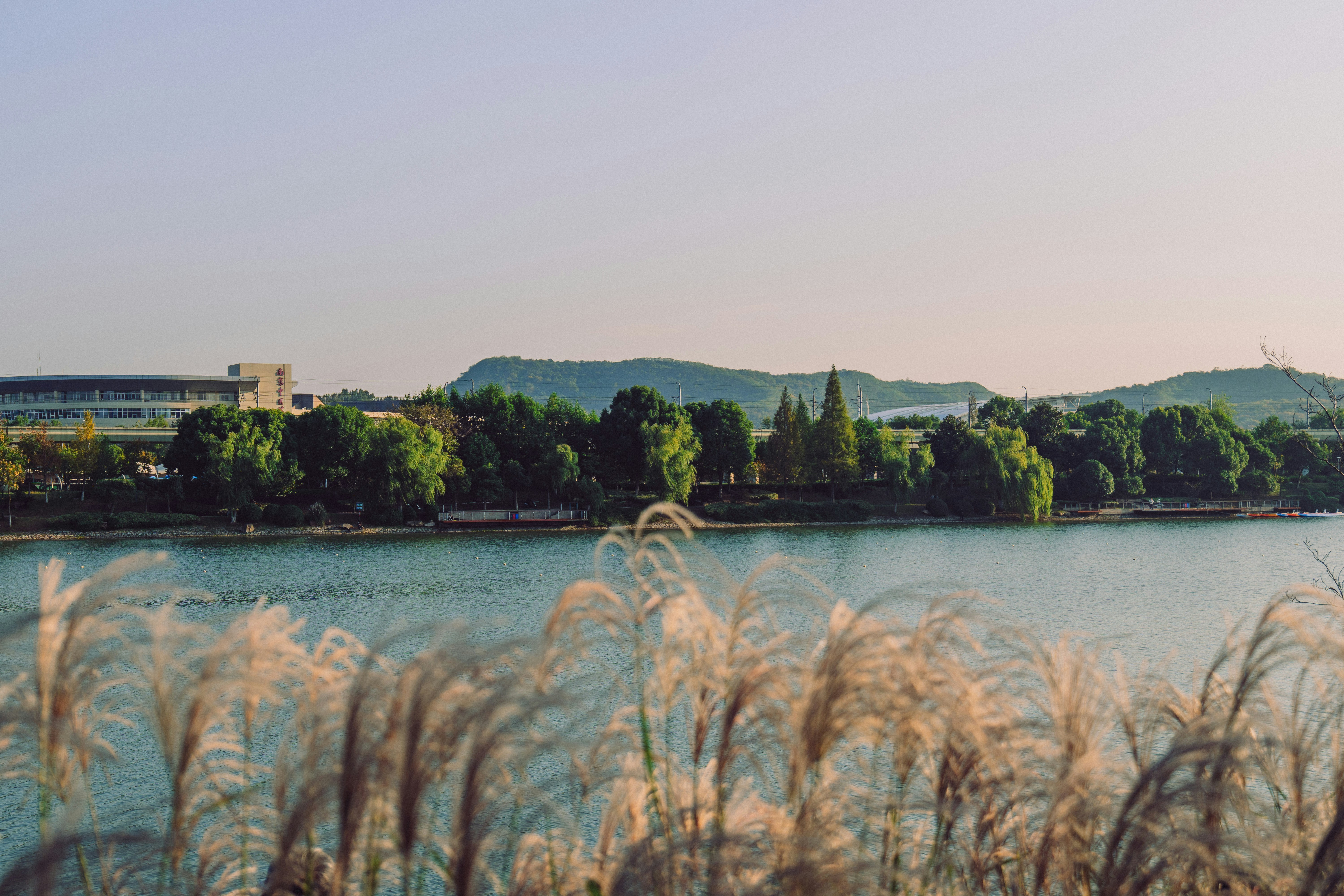 Photo by aasing_gwok