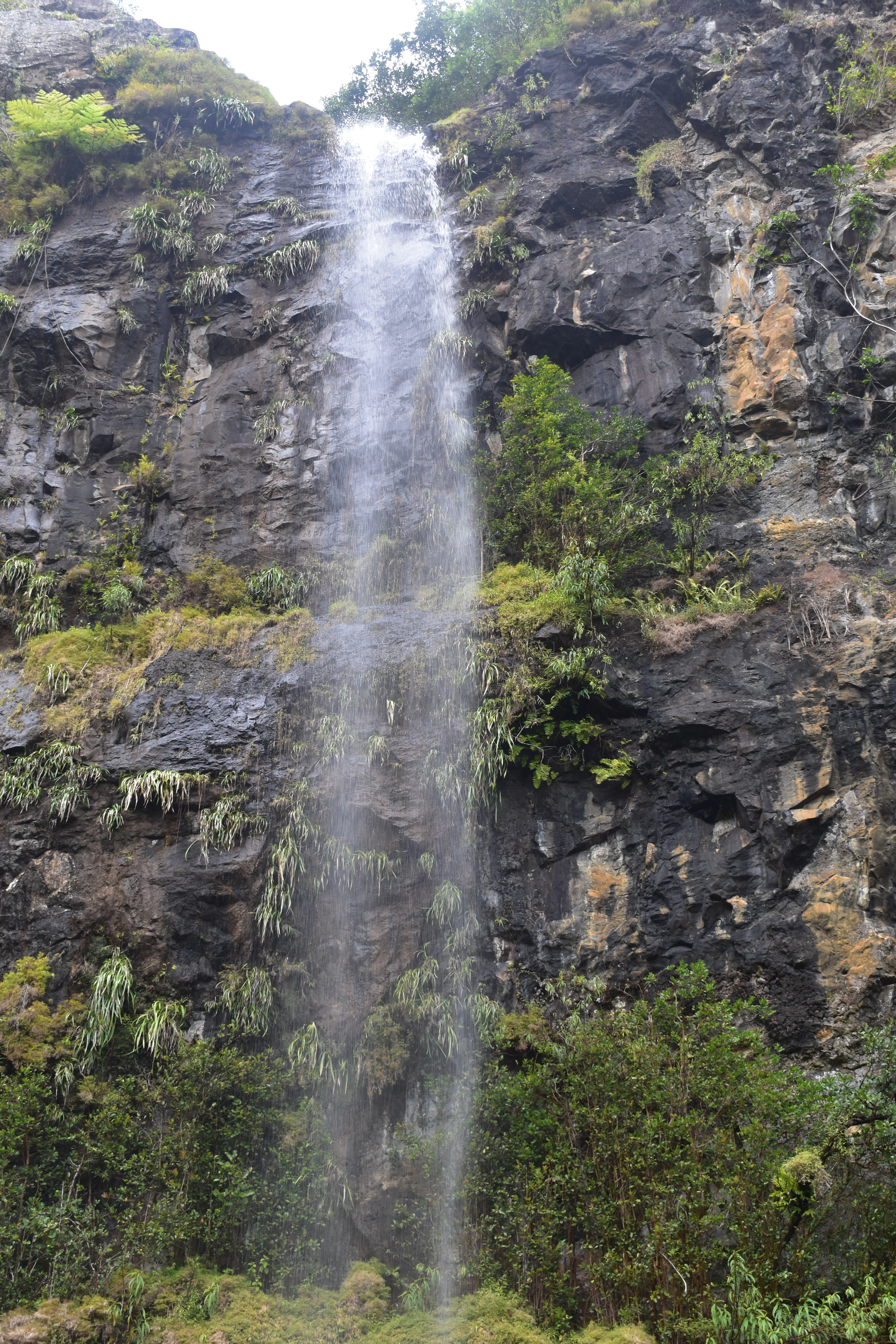 A thin waterfall drops down a dark, moss-streaked volcanic rock face into dense greenery.