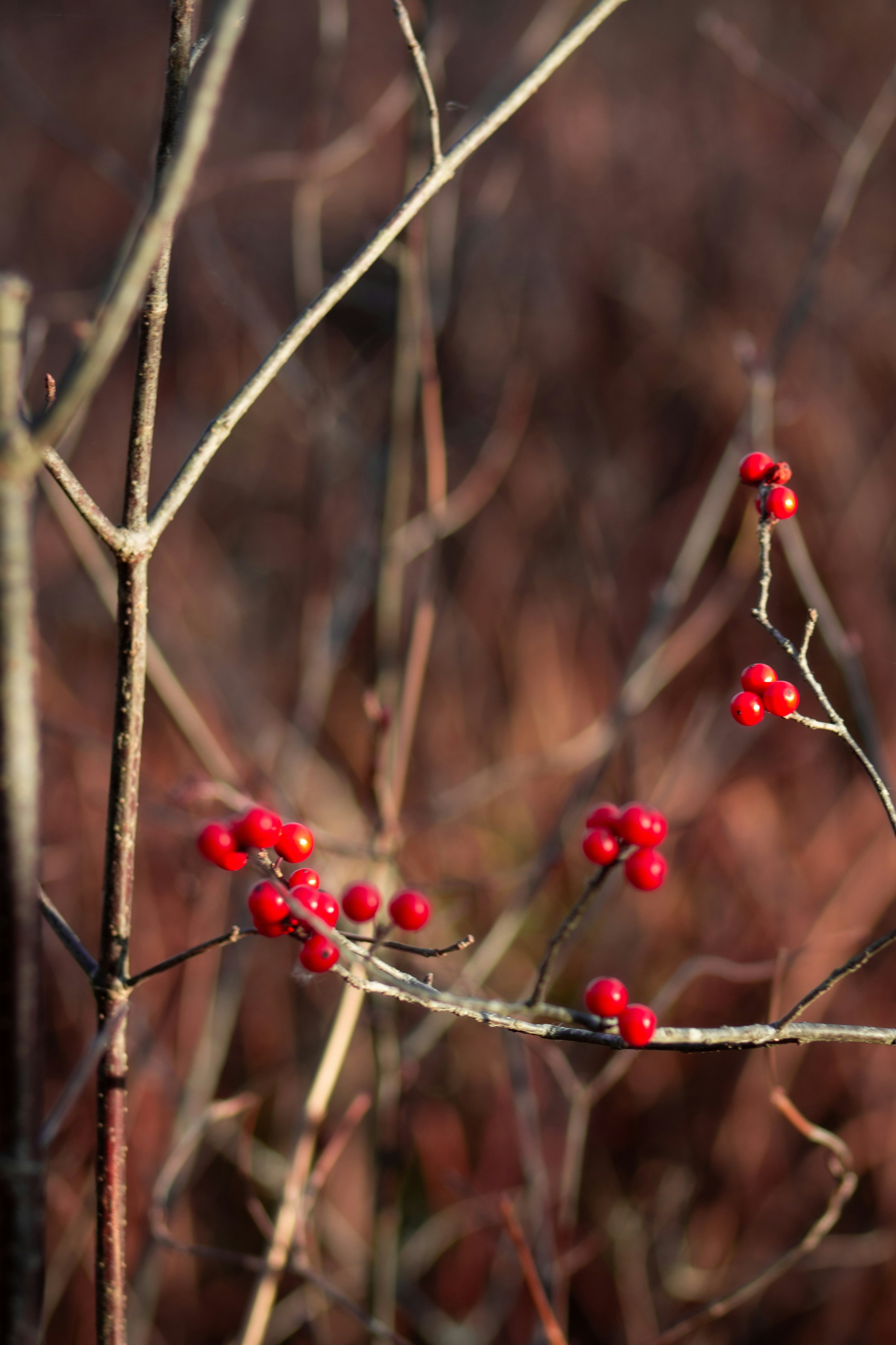 Photo by charlysey278