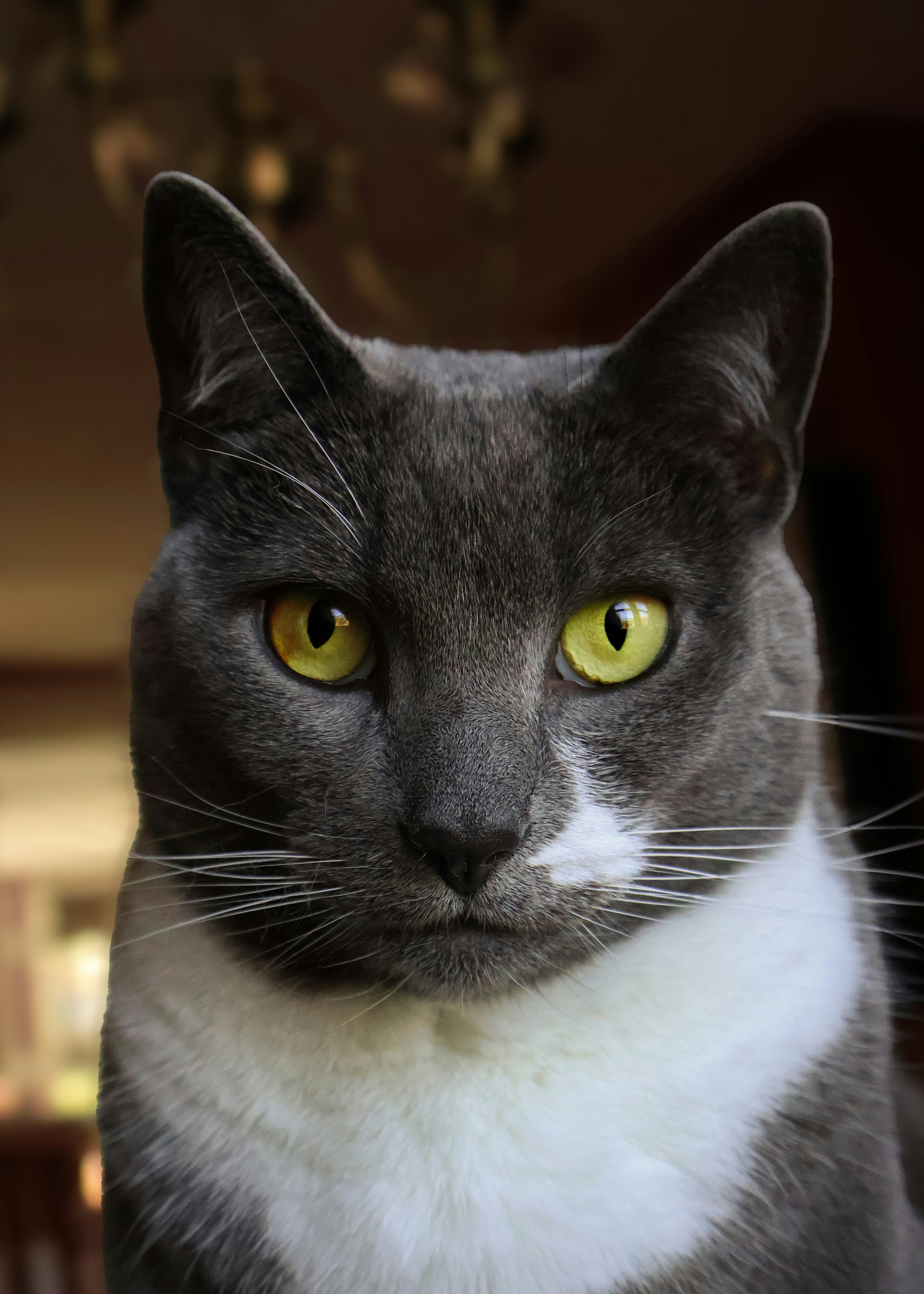 Photo by charlysey278