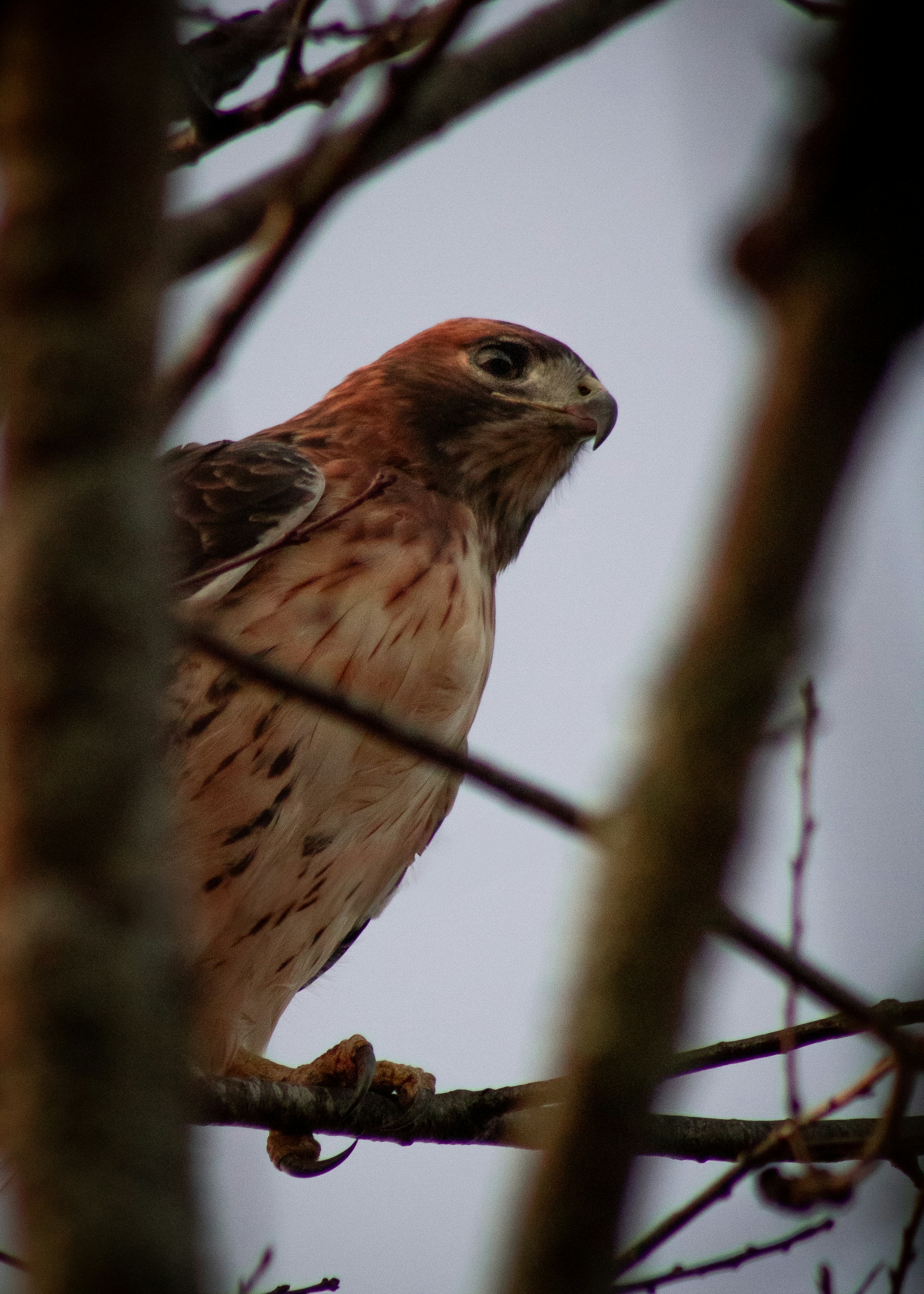 Photo by charlysey278