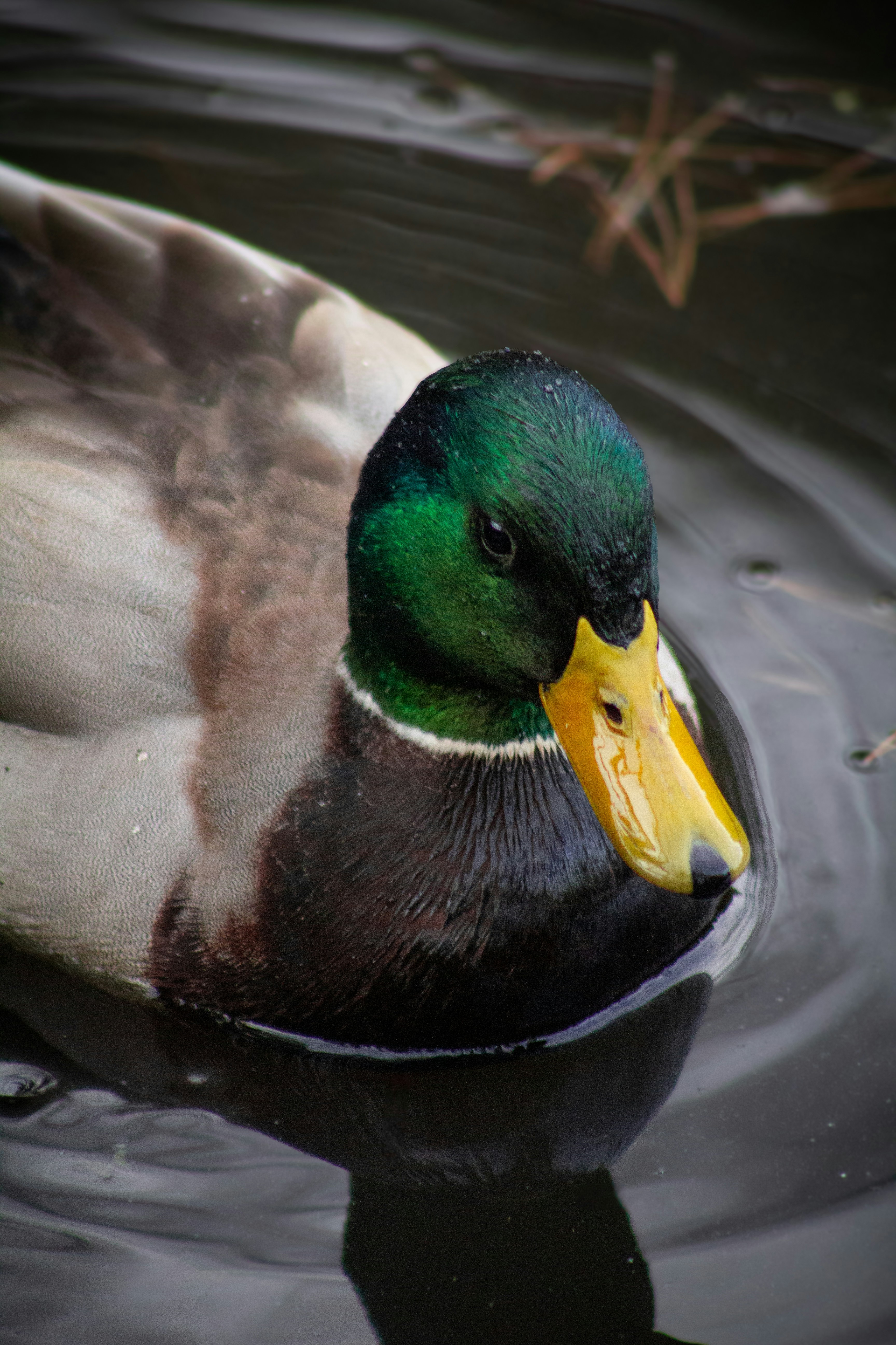 Photo by charlysey278