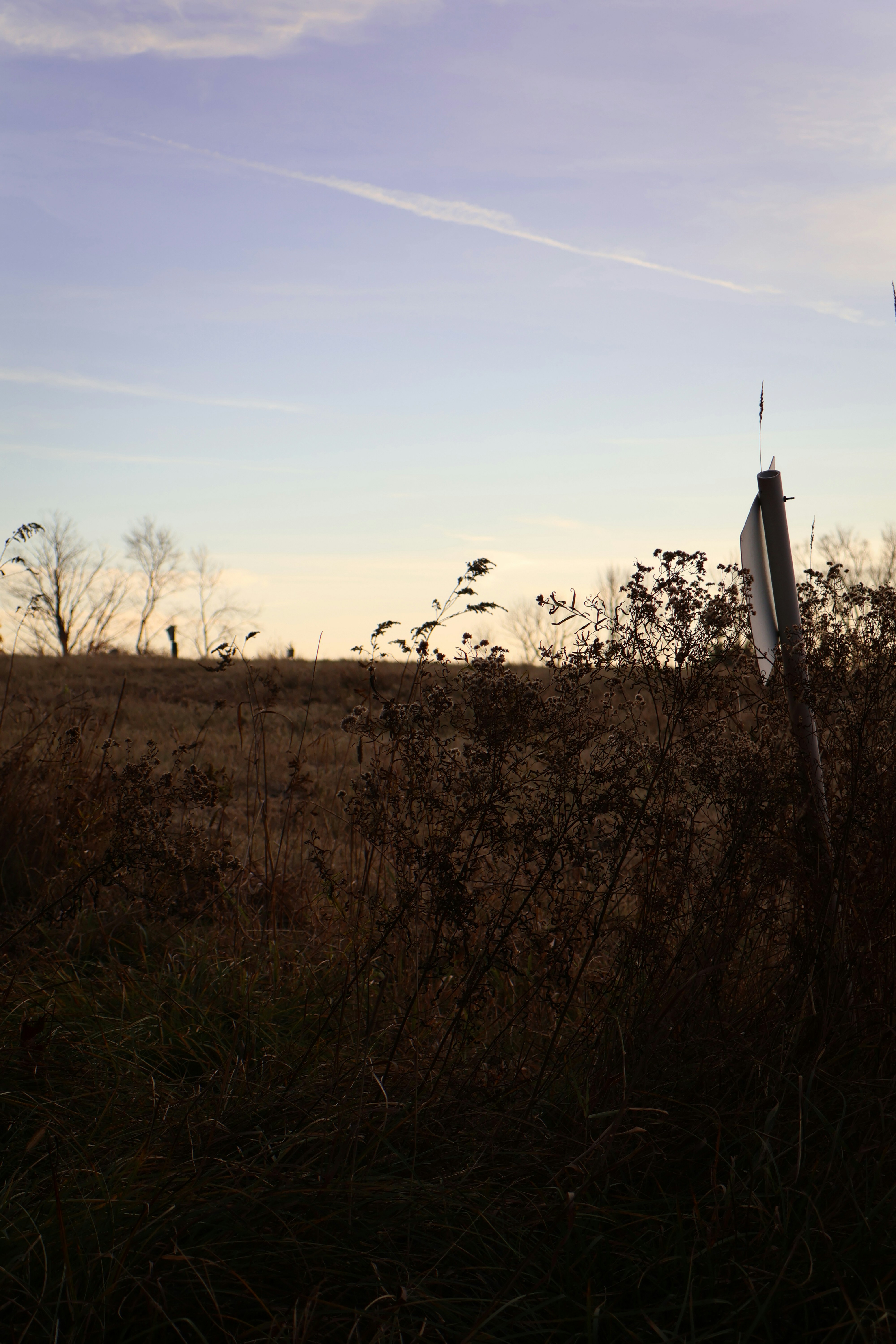 Photo by charlysey278