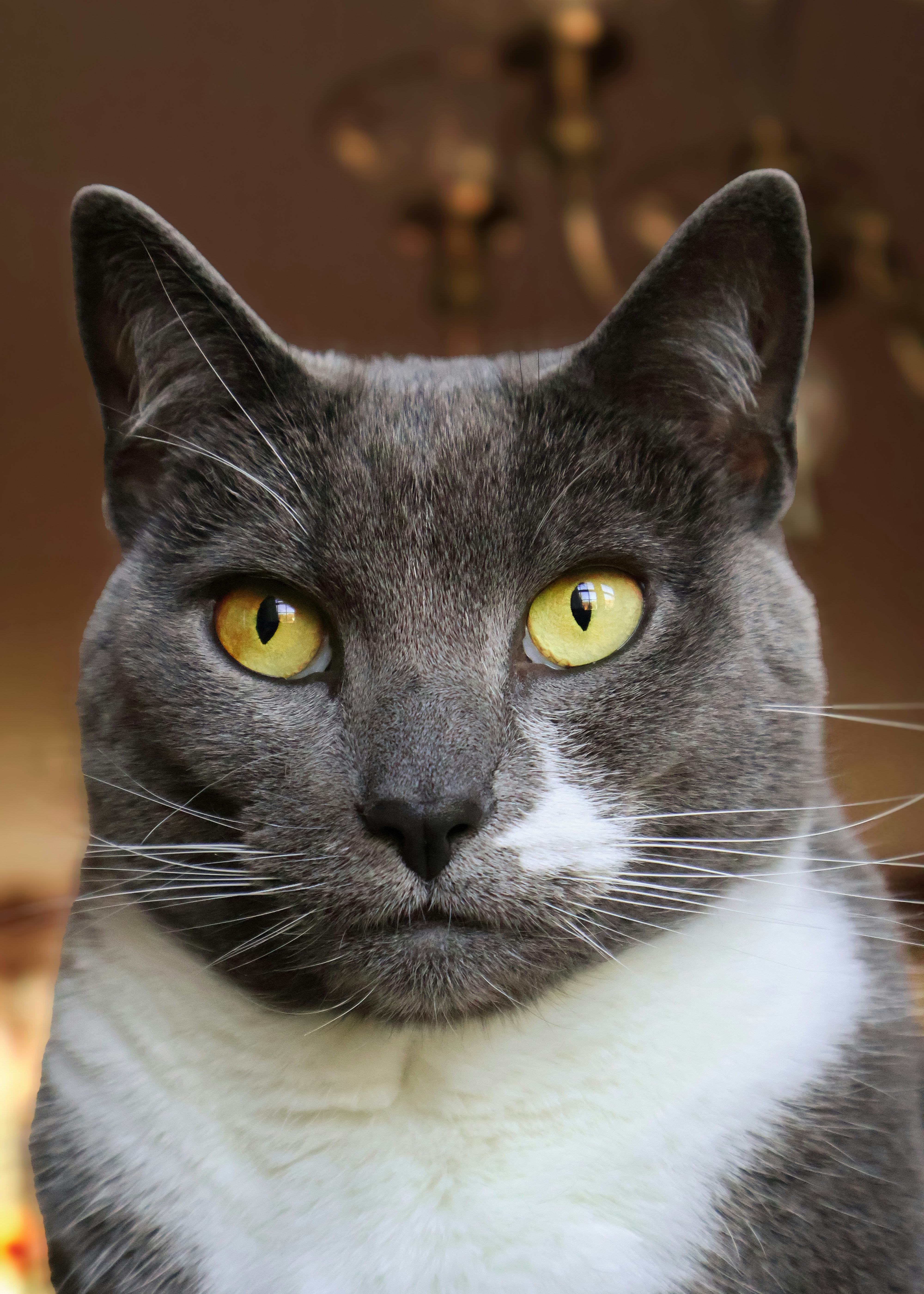 Photo by charlysey278