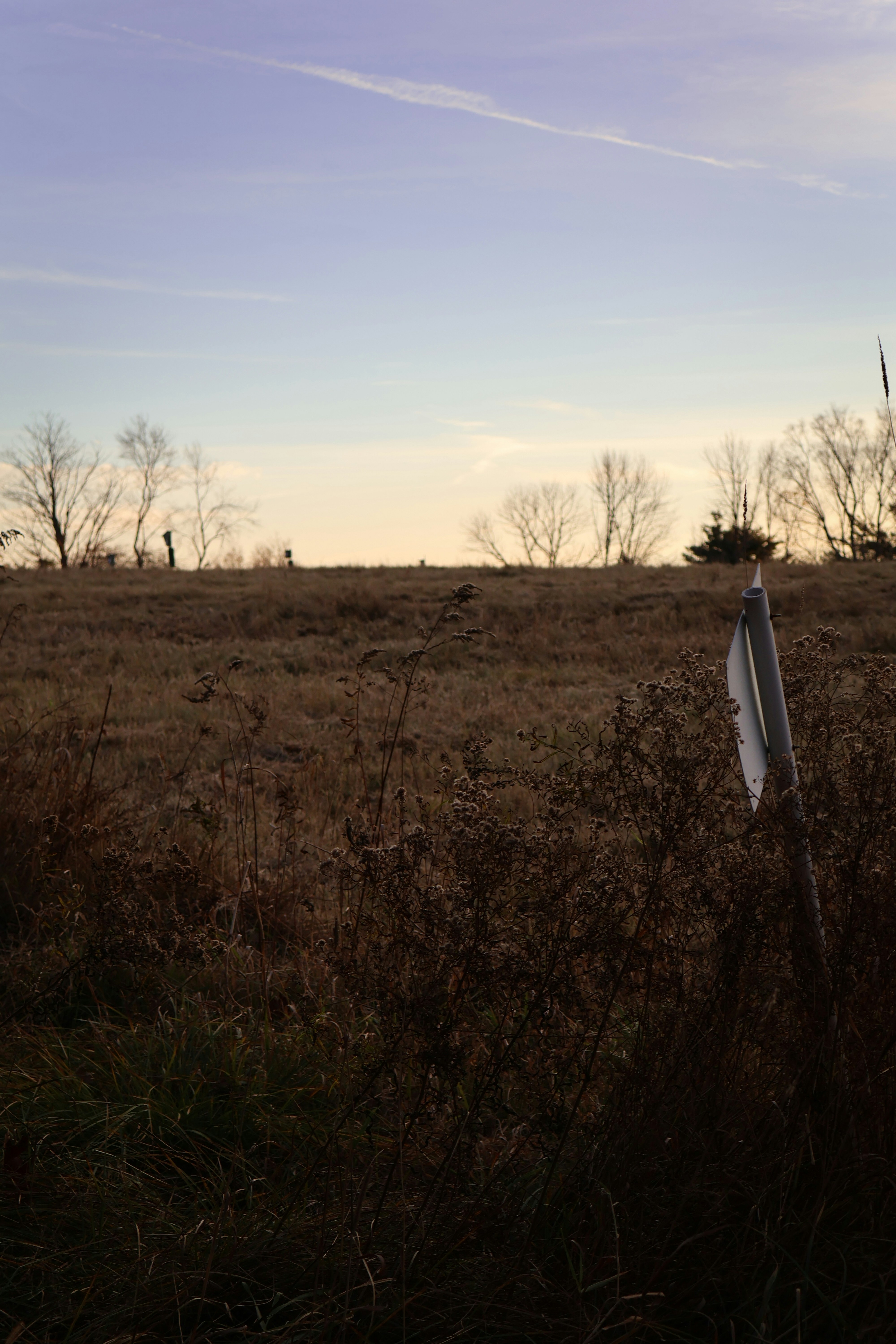 Photo by charlysey278