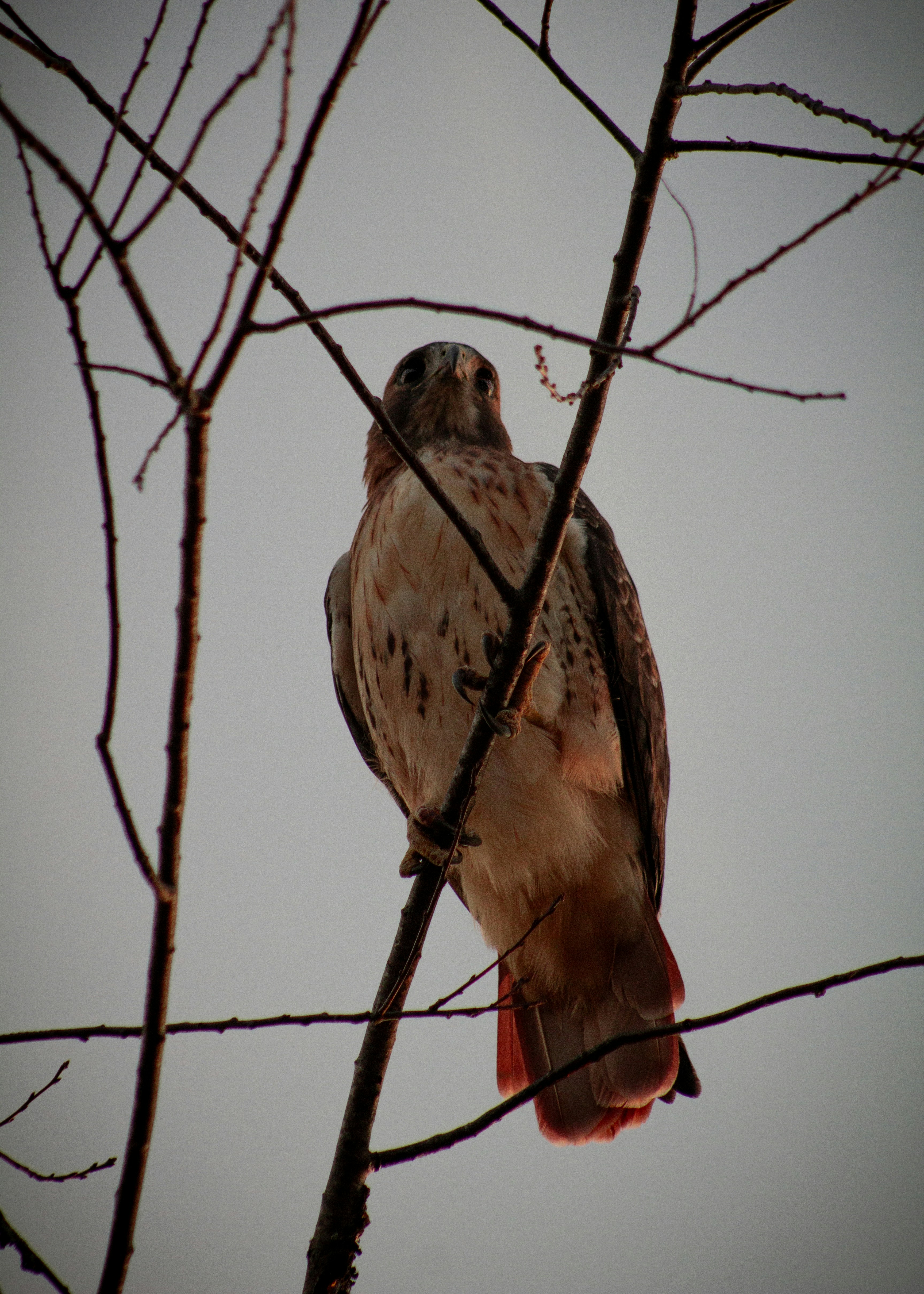 Photo by charlysey278