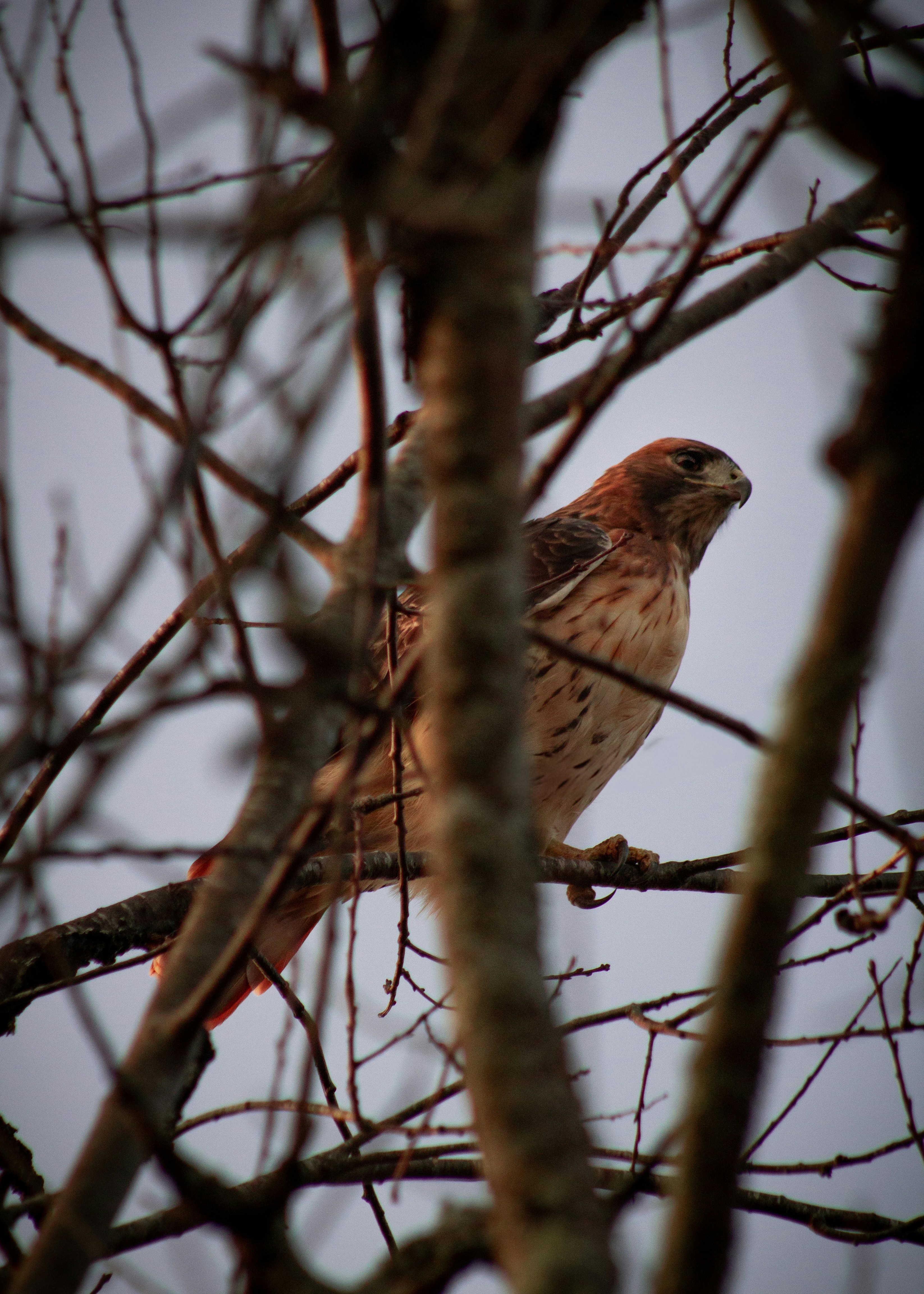 Photo by charlysey278