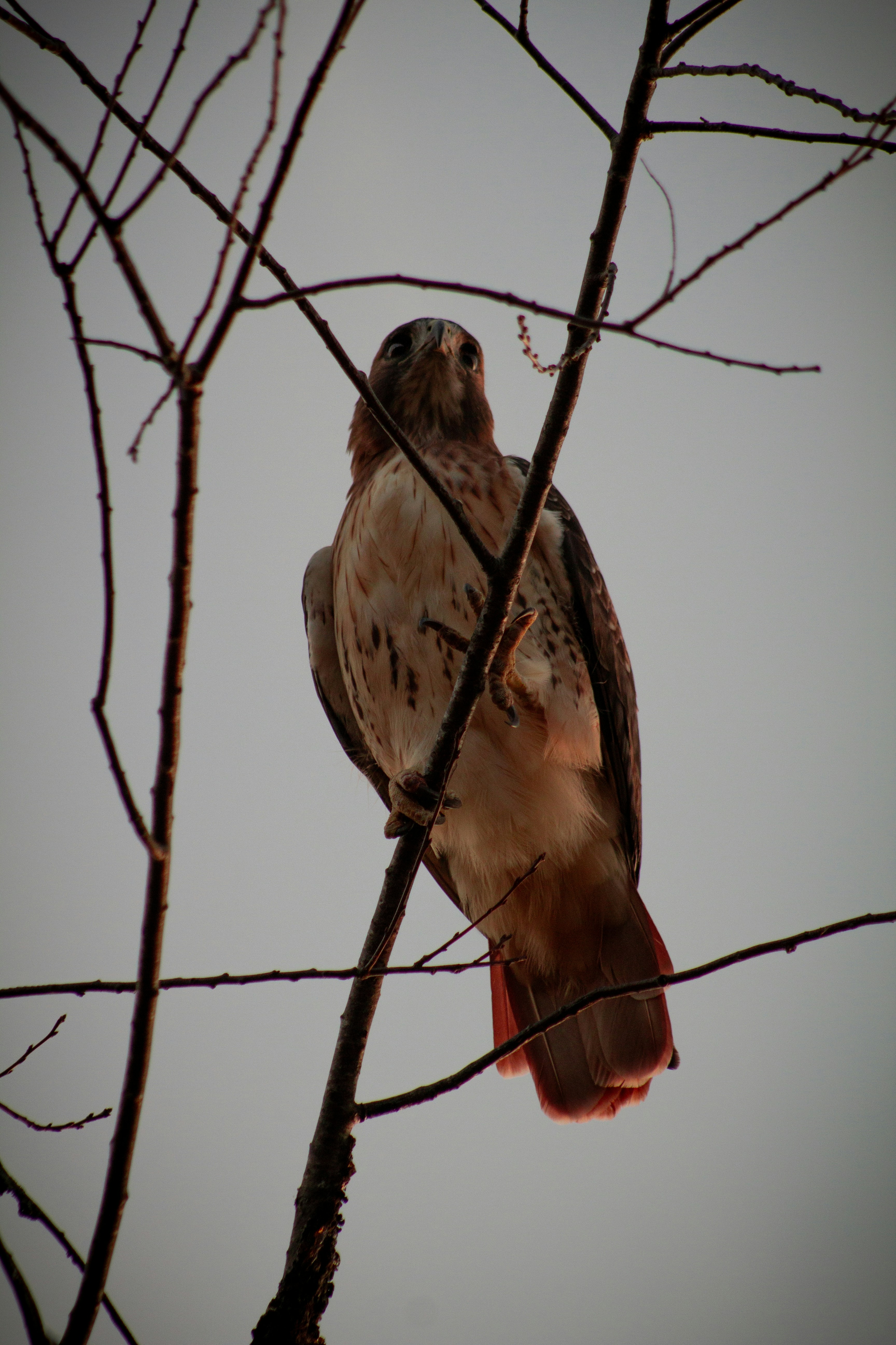 Photo by charlysey278