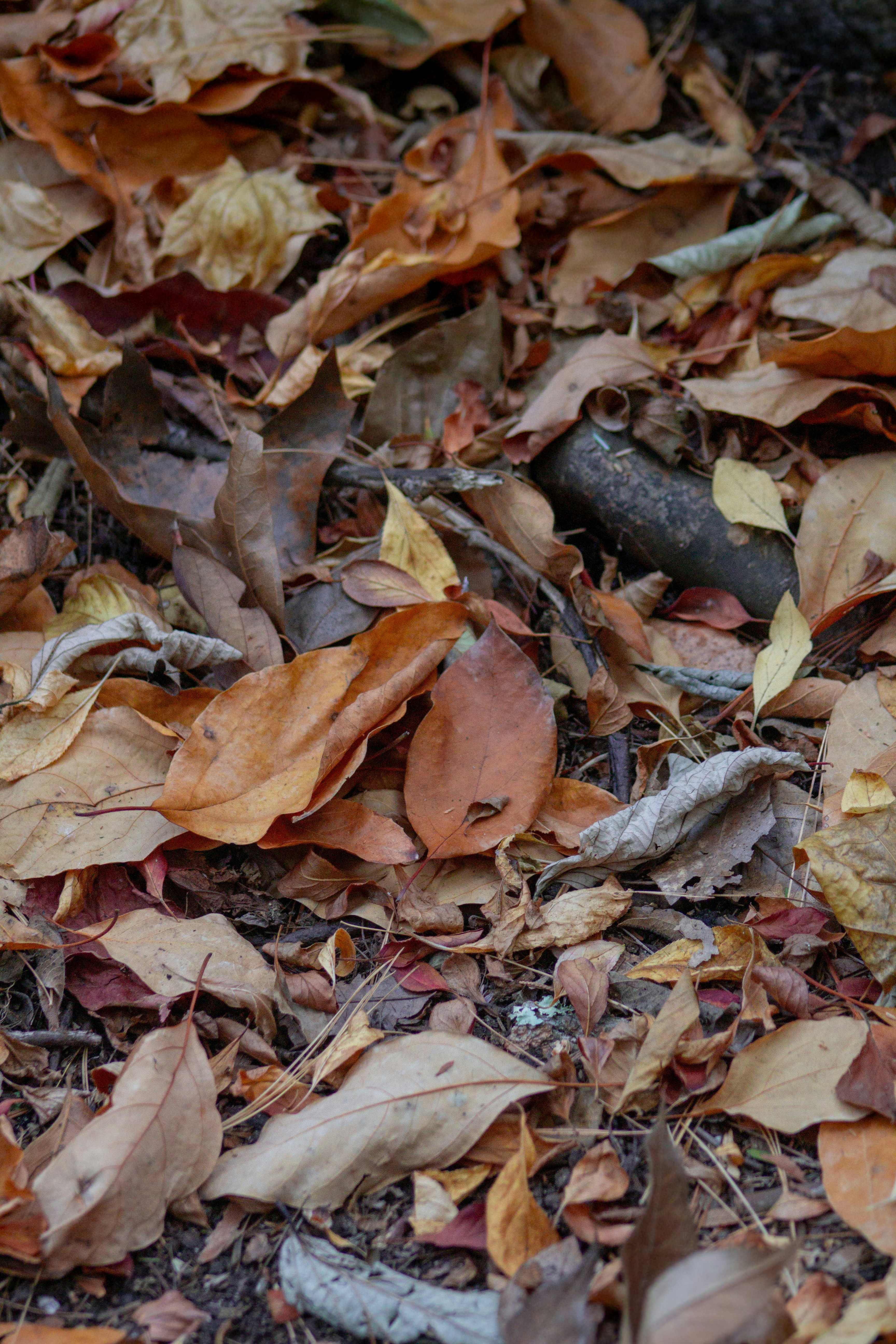 Photo by charlysey278