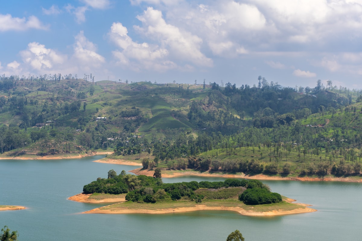 A small island in the middle of a lake