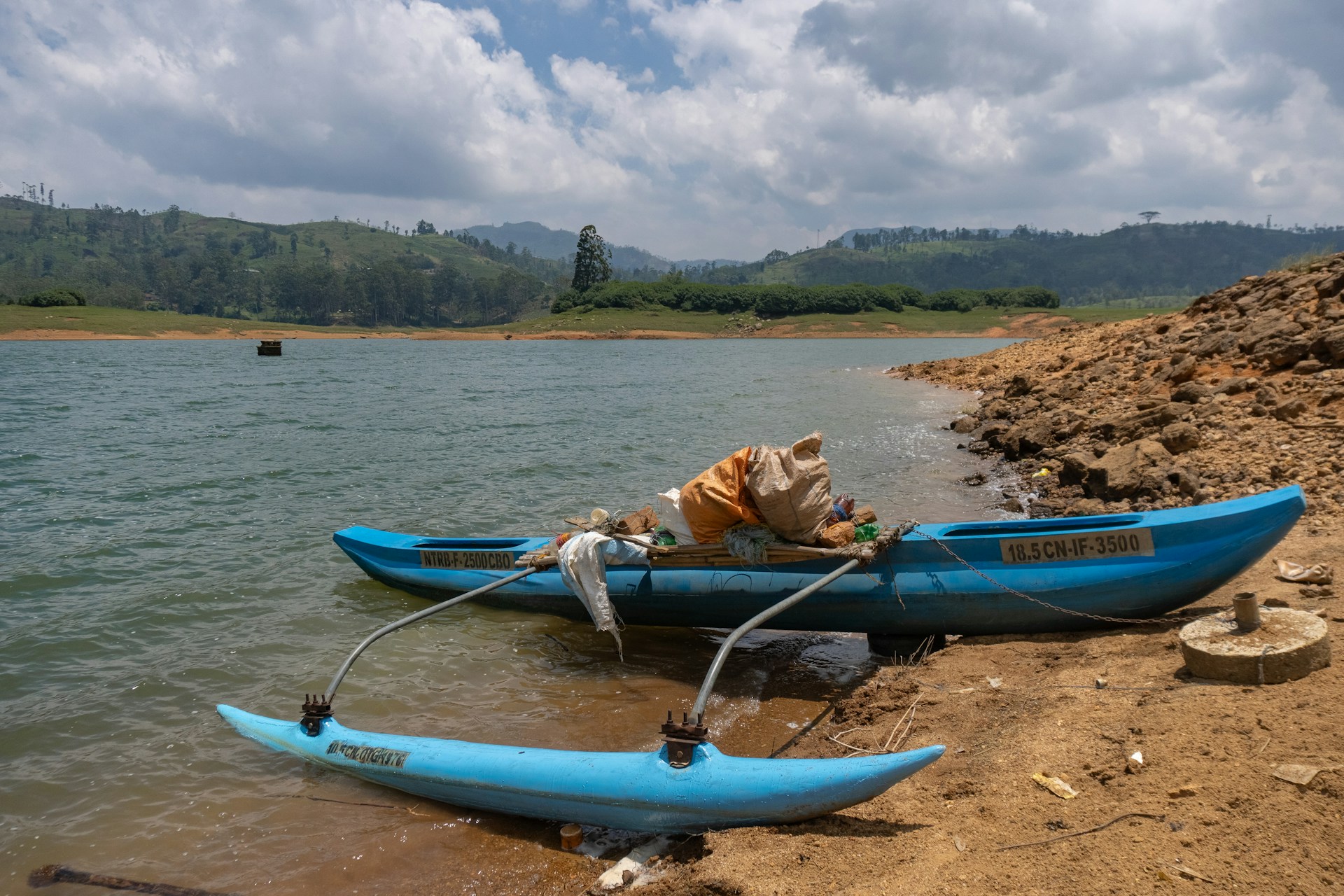 A dog sitting in a boat on the shore of a lake