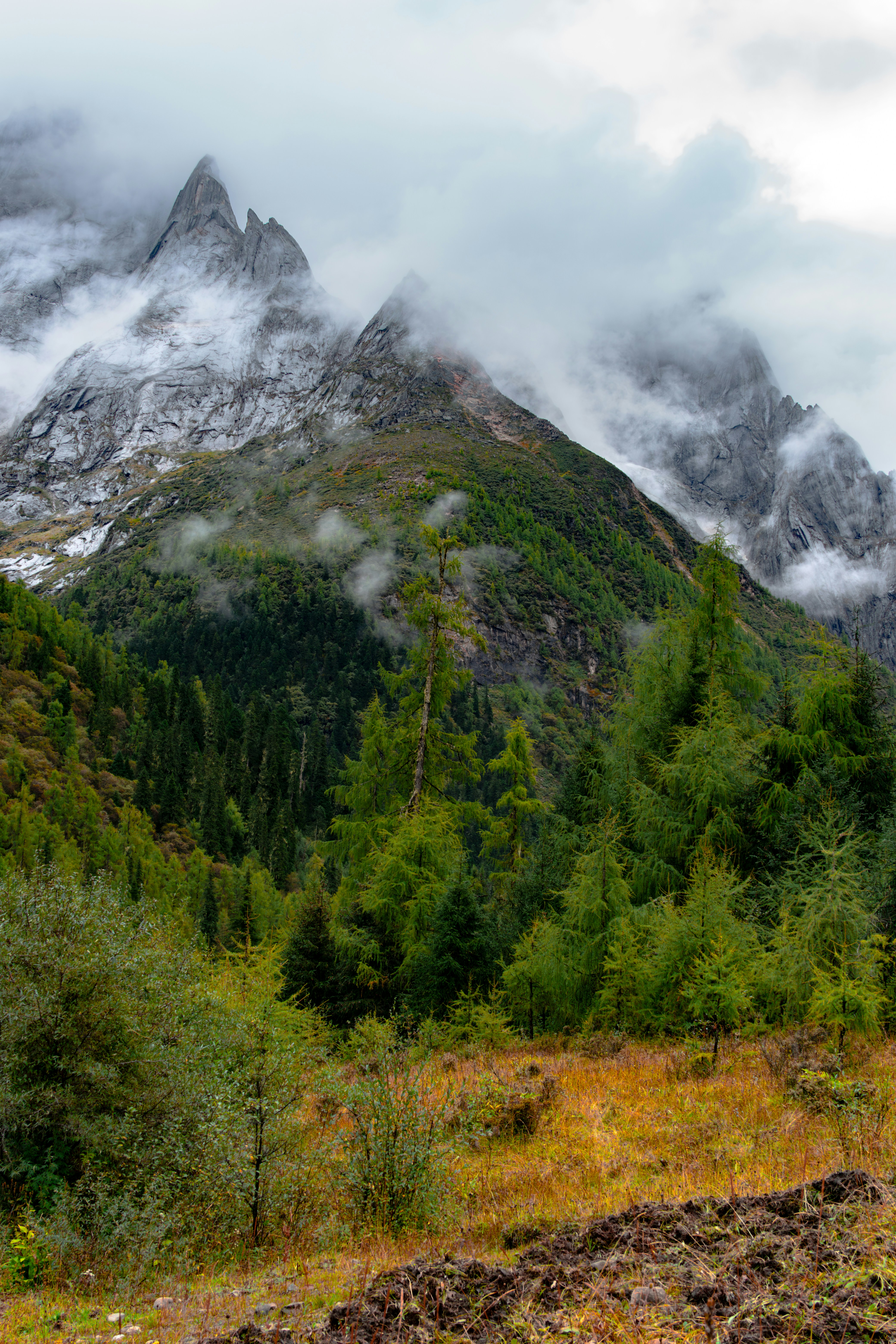 Photo by hattrick1996