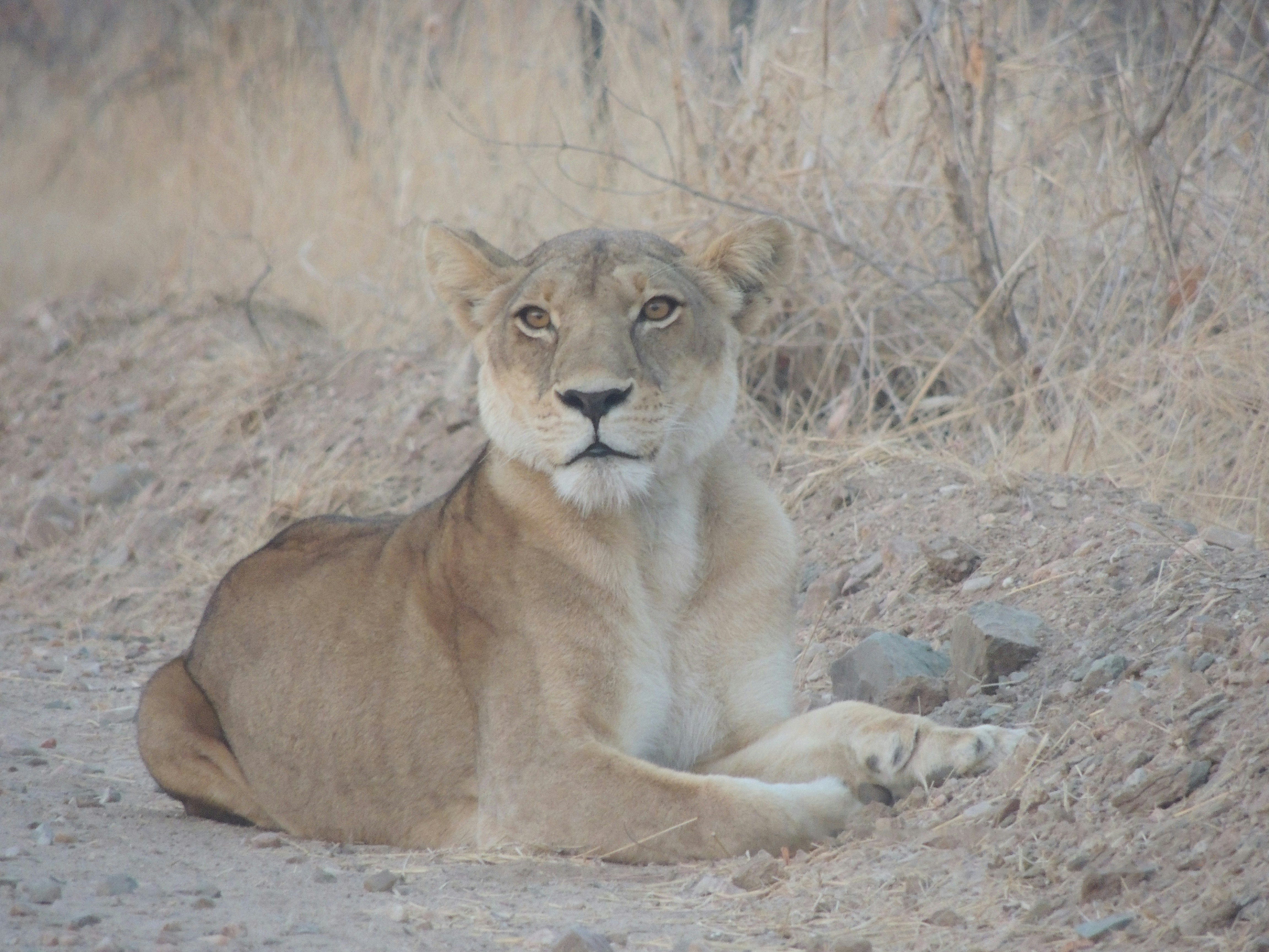 Photo by shashank1978