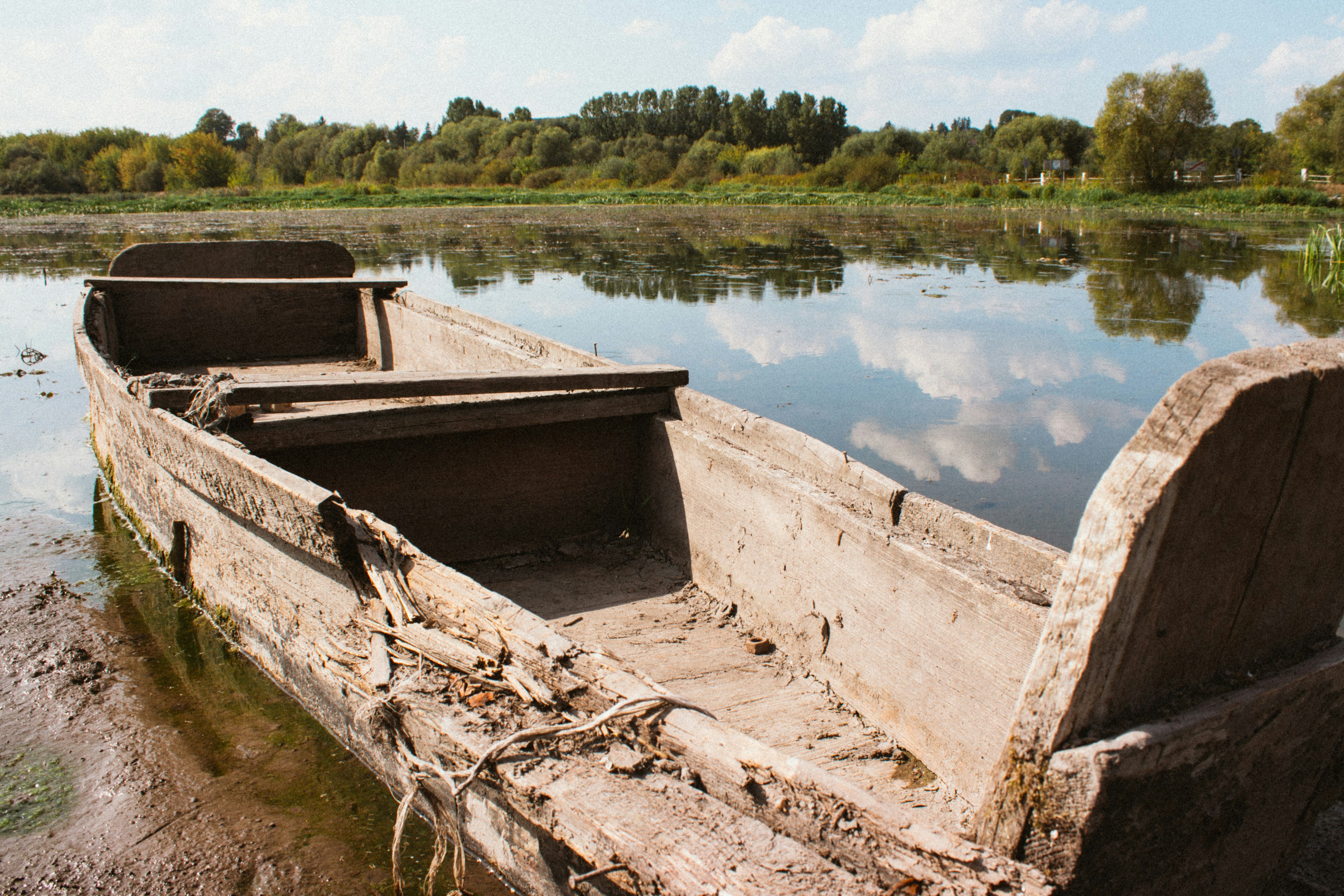 Photo by viktorsmoliak